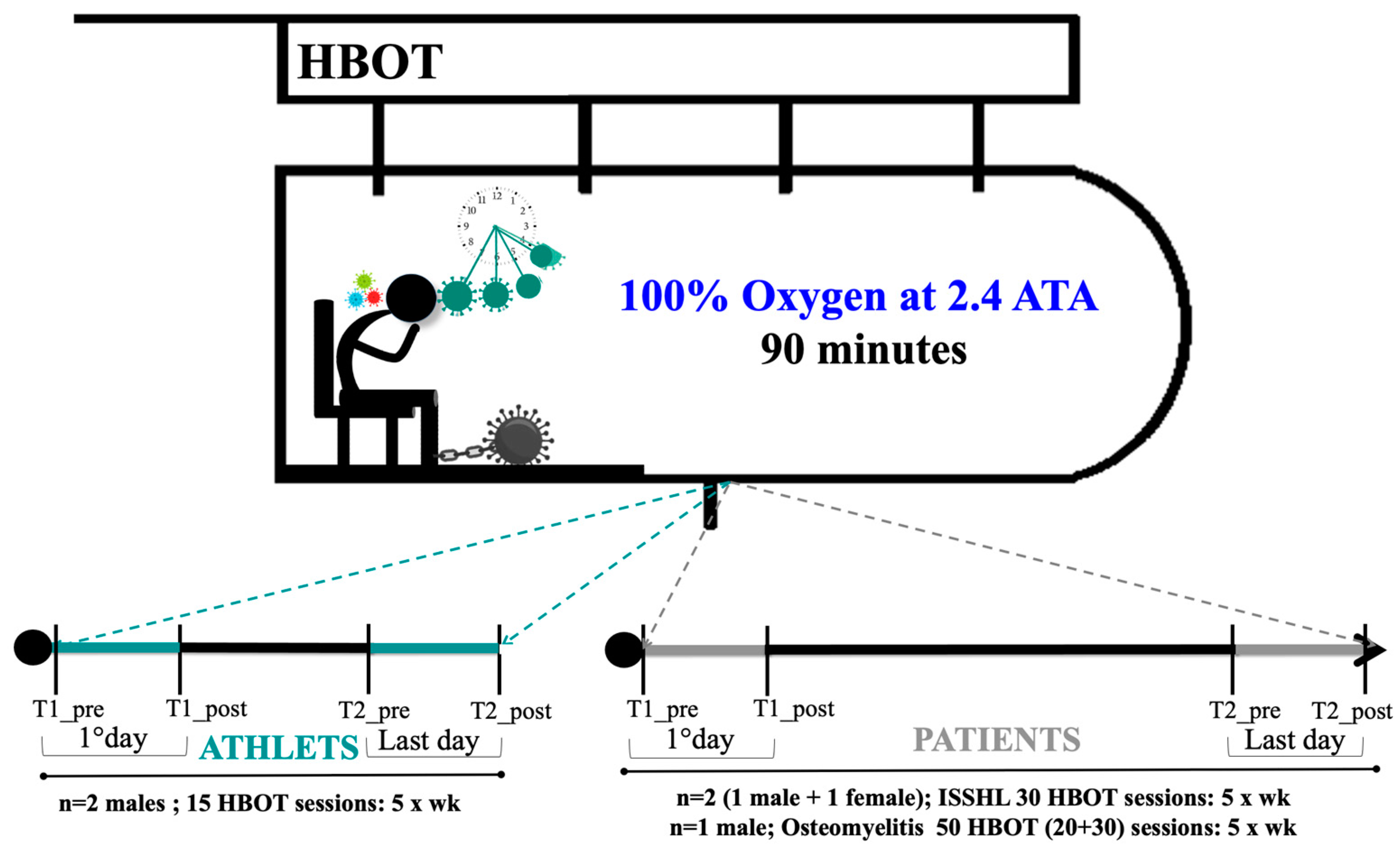 Metabolites 13 01032 g001