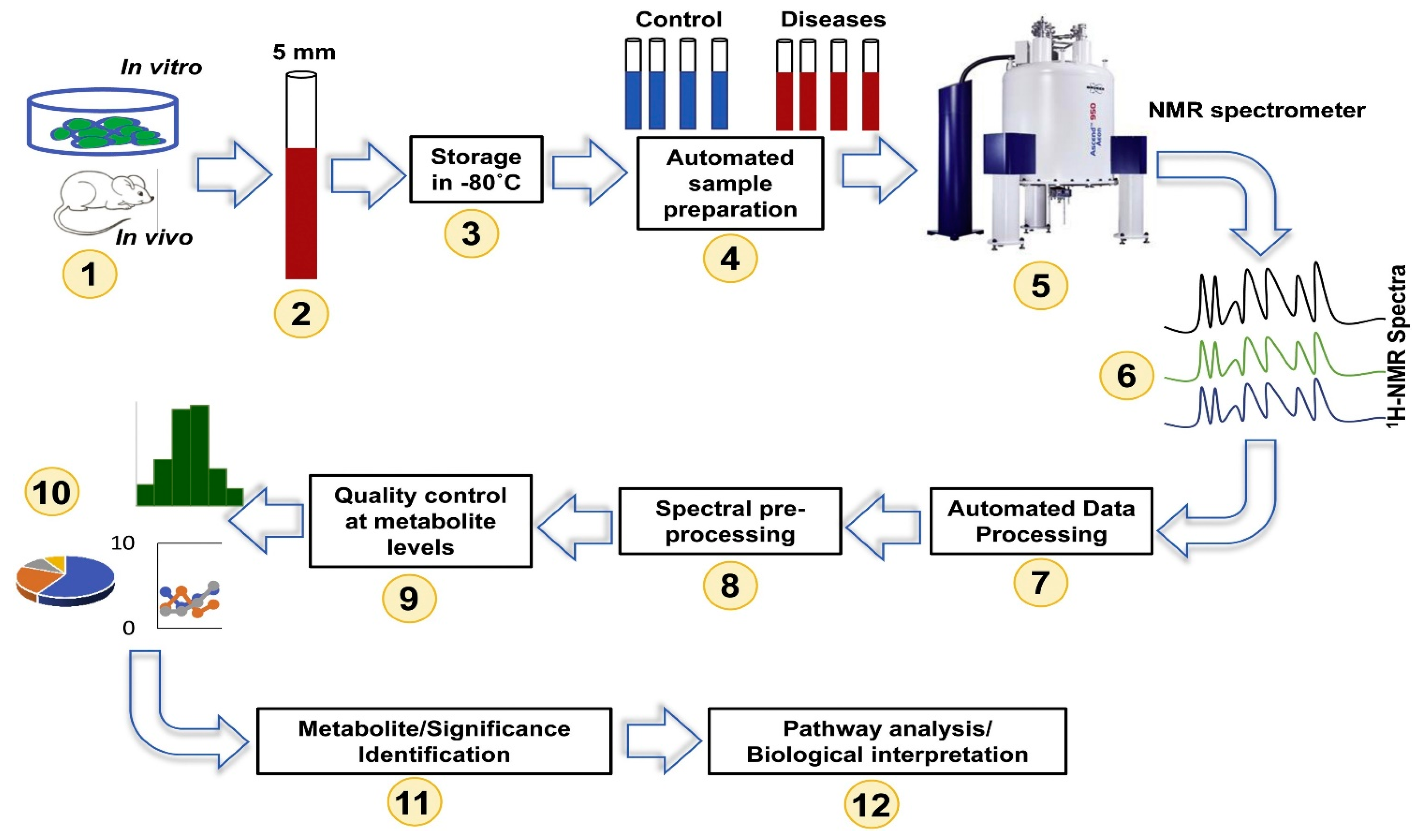 https://www.mdpi.com/metabolites/metabolites-13-01037/article_deploy/html/images/metabolites-13-01037-g001.png