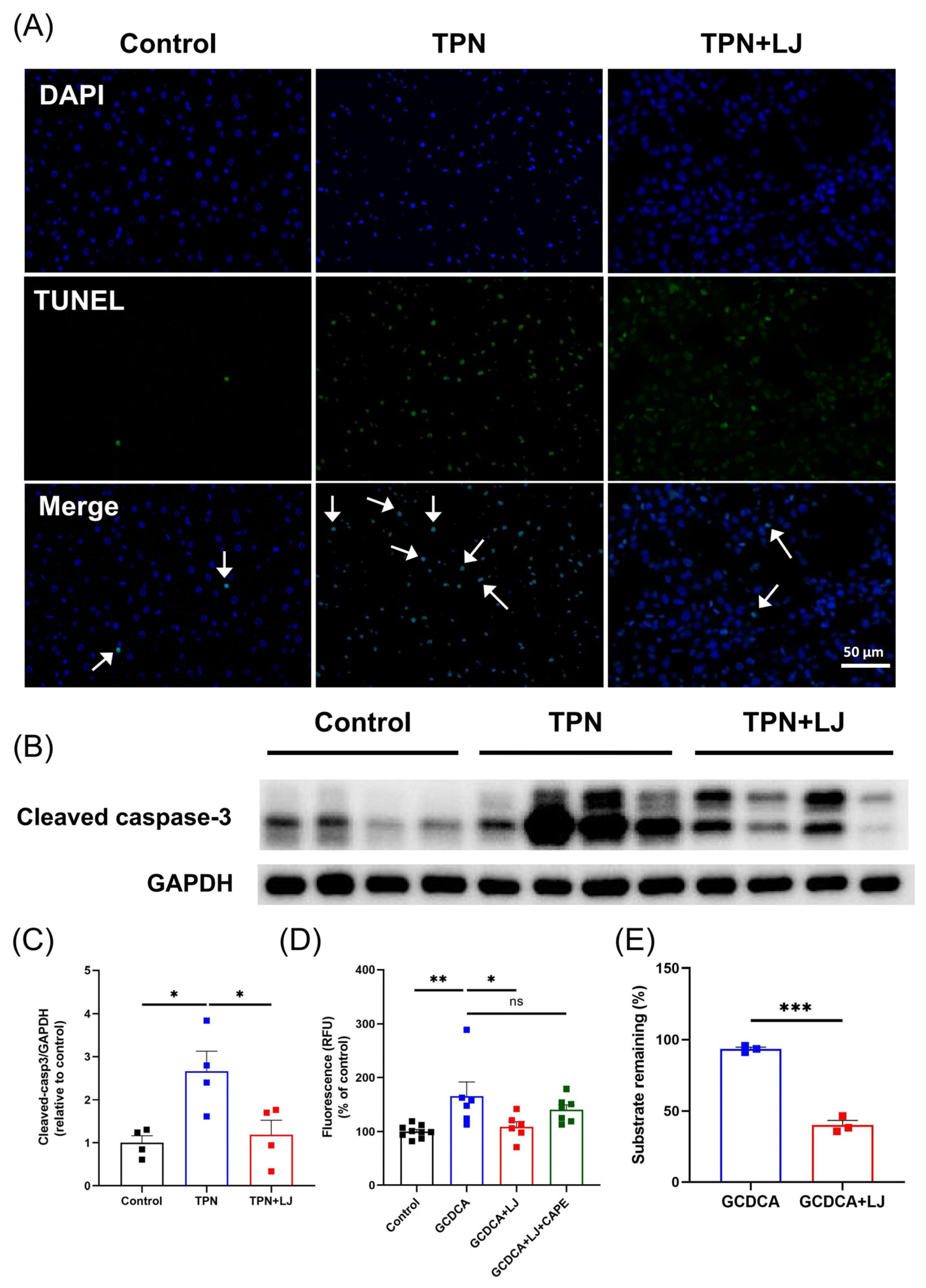 Metabolites 13 01043 g005