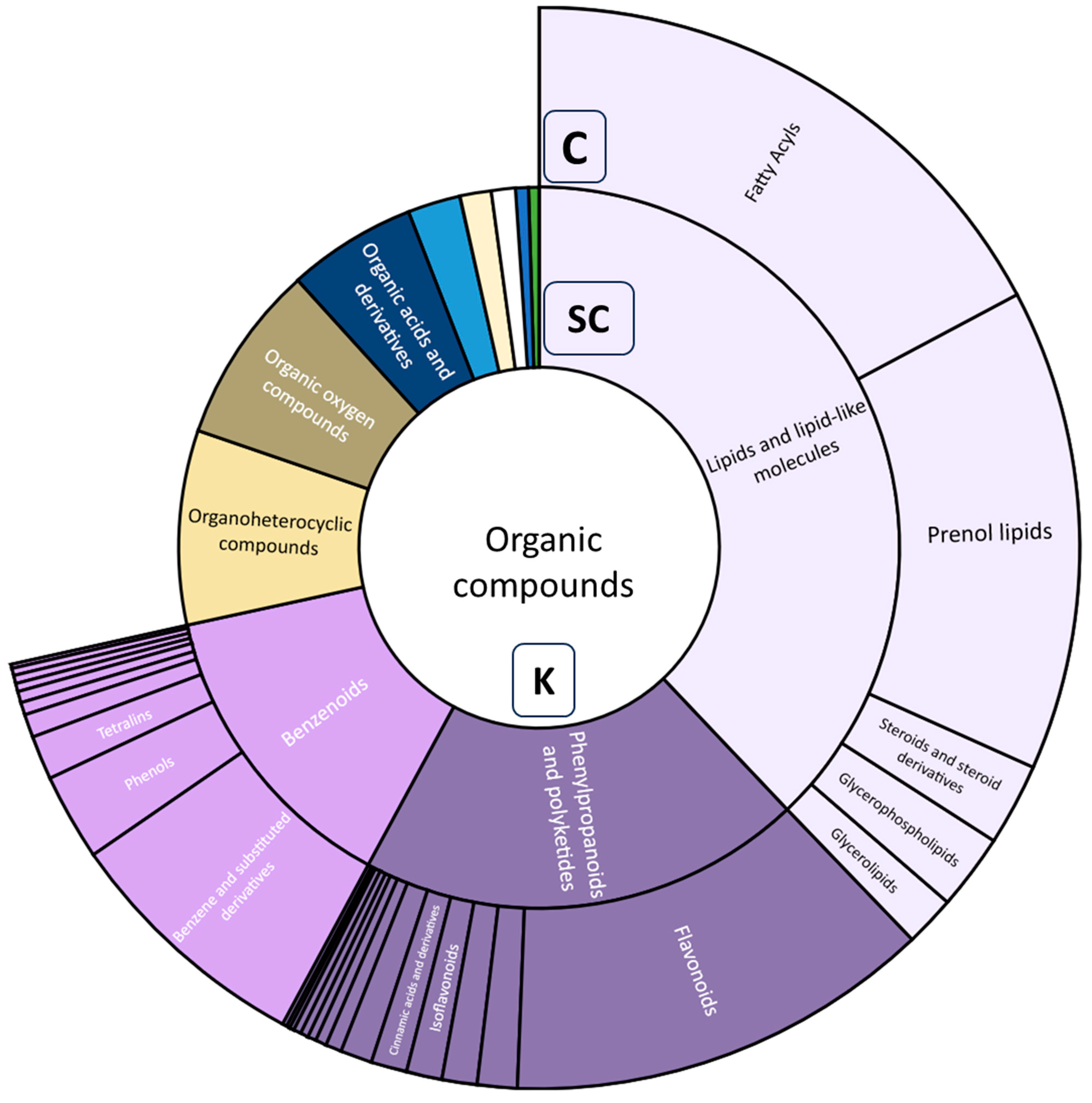 Metabolites 13 01050 g008