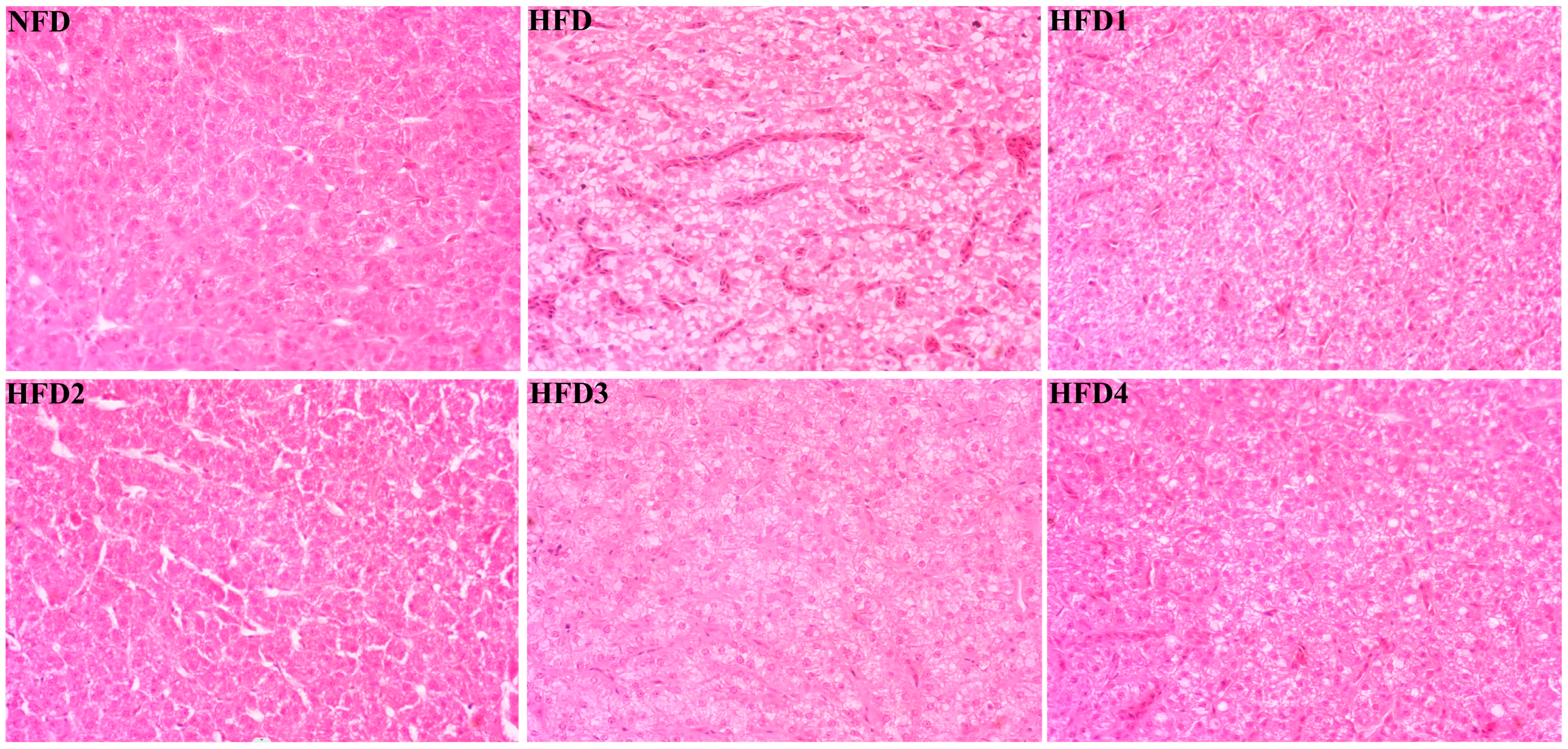 Metabolites 13 01067 g003