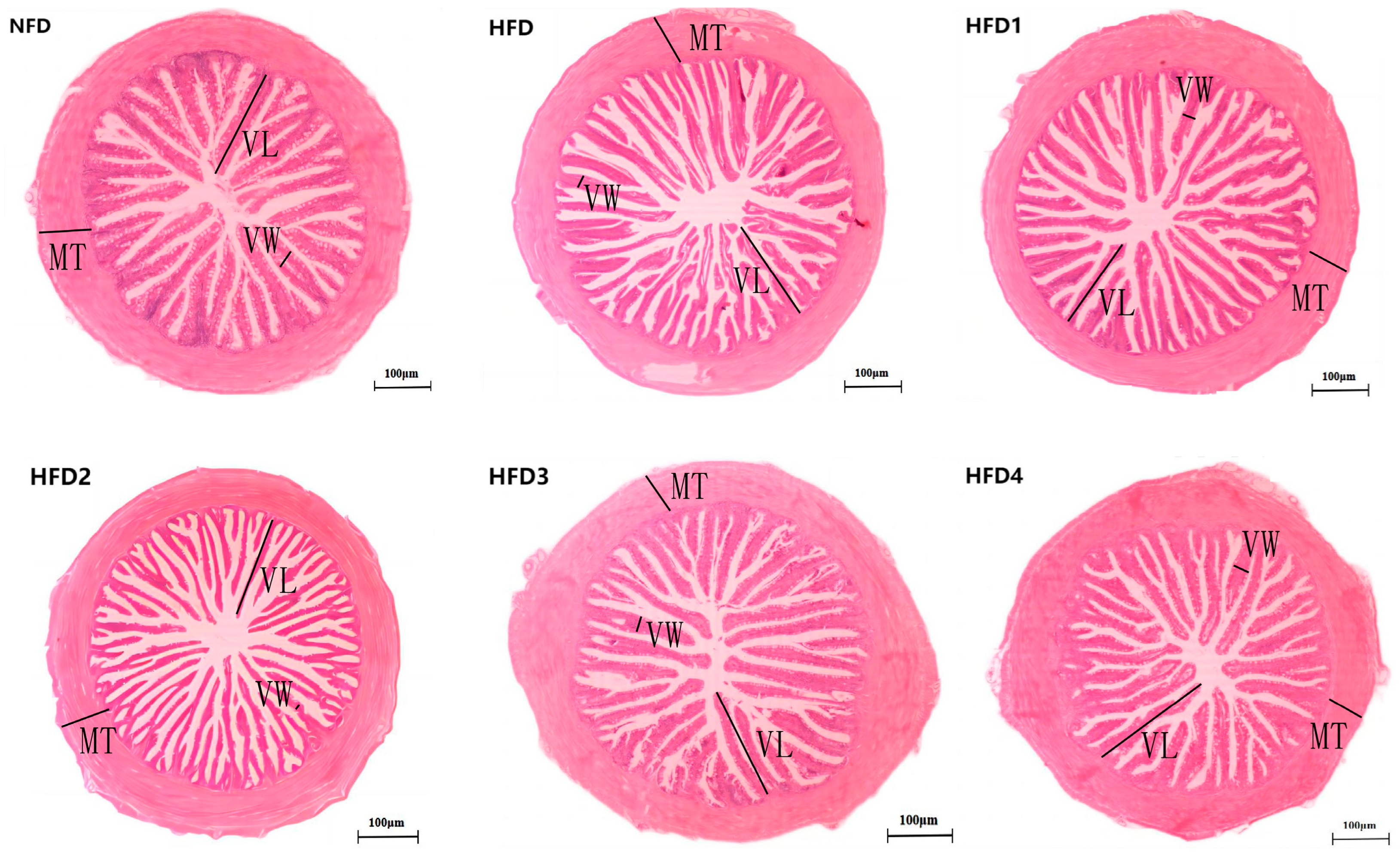 Metabolites 13 01067 g004