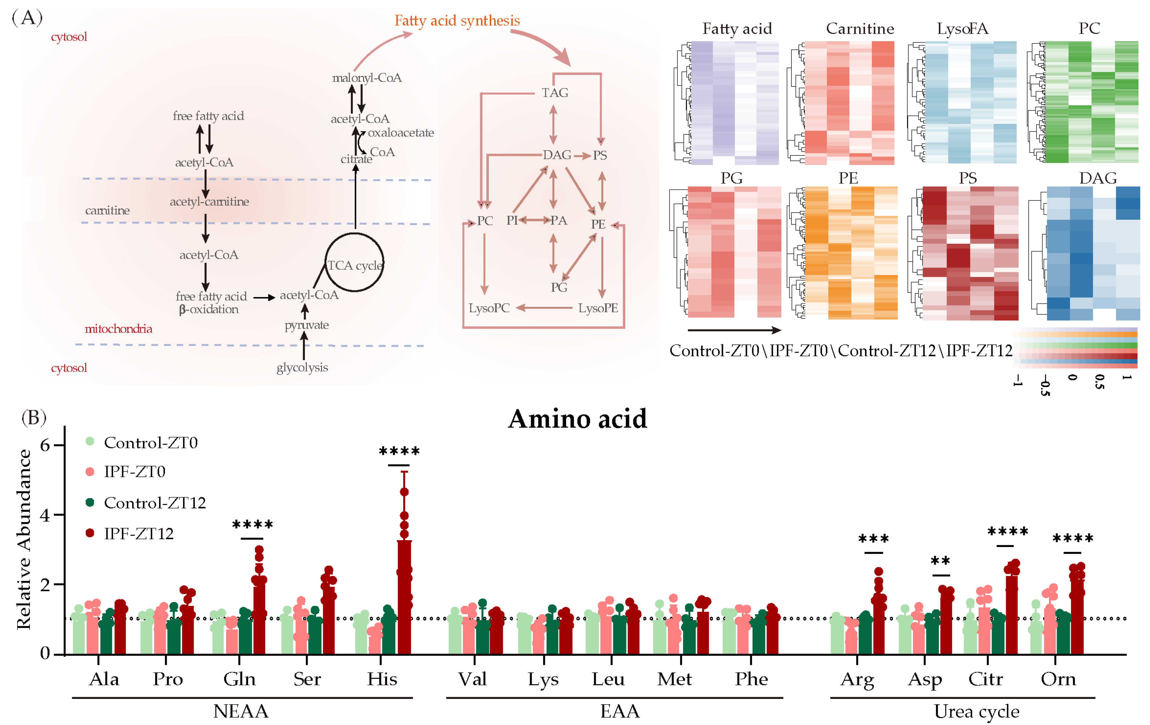 Metabolites 13 01069 g004