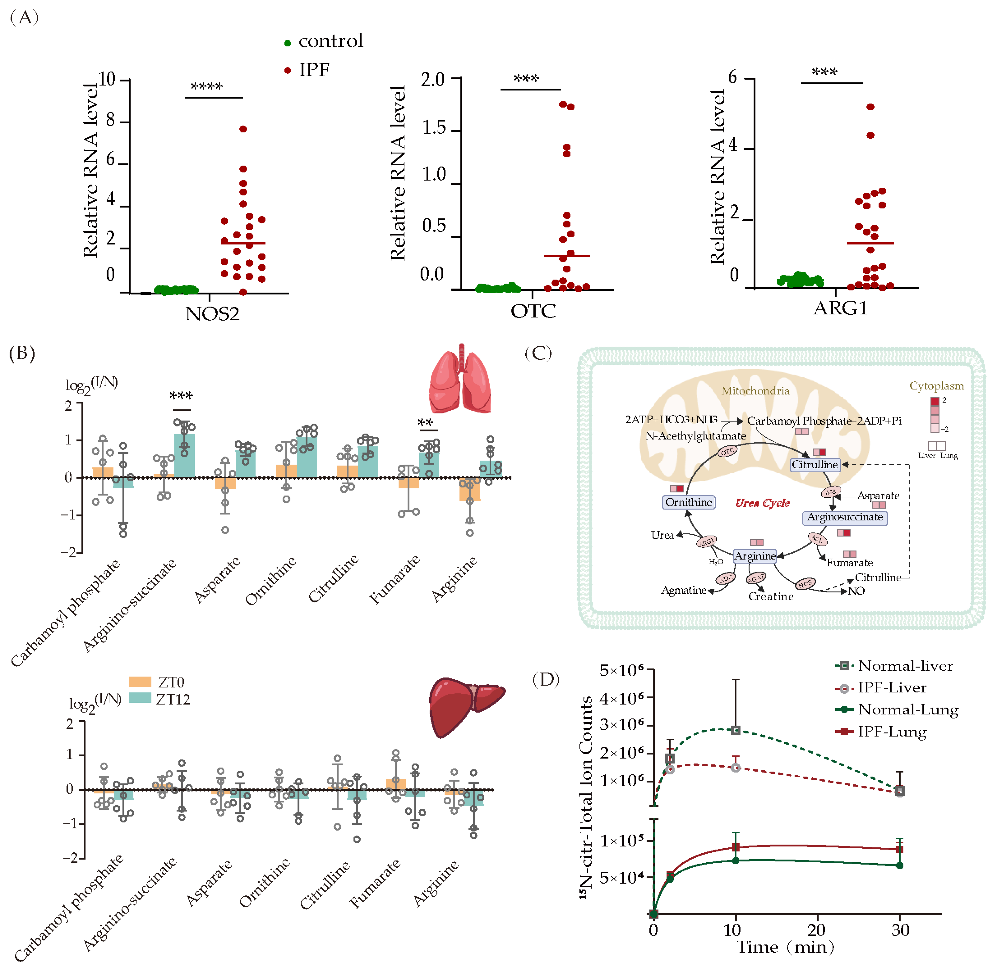 Metabolites 13 01069 g005
