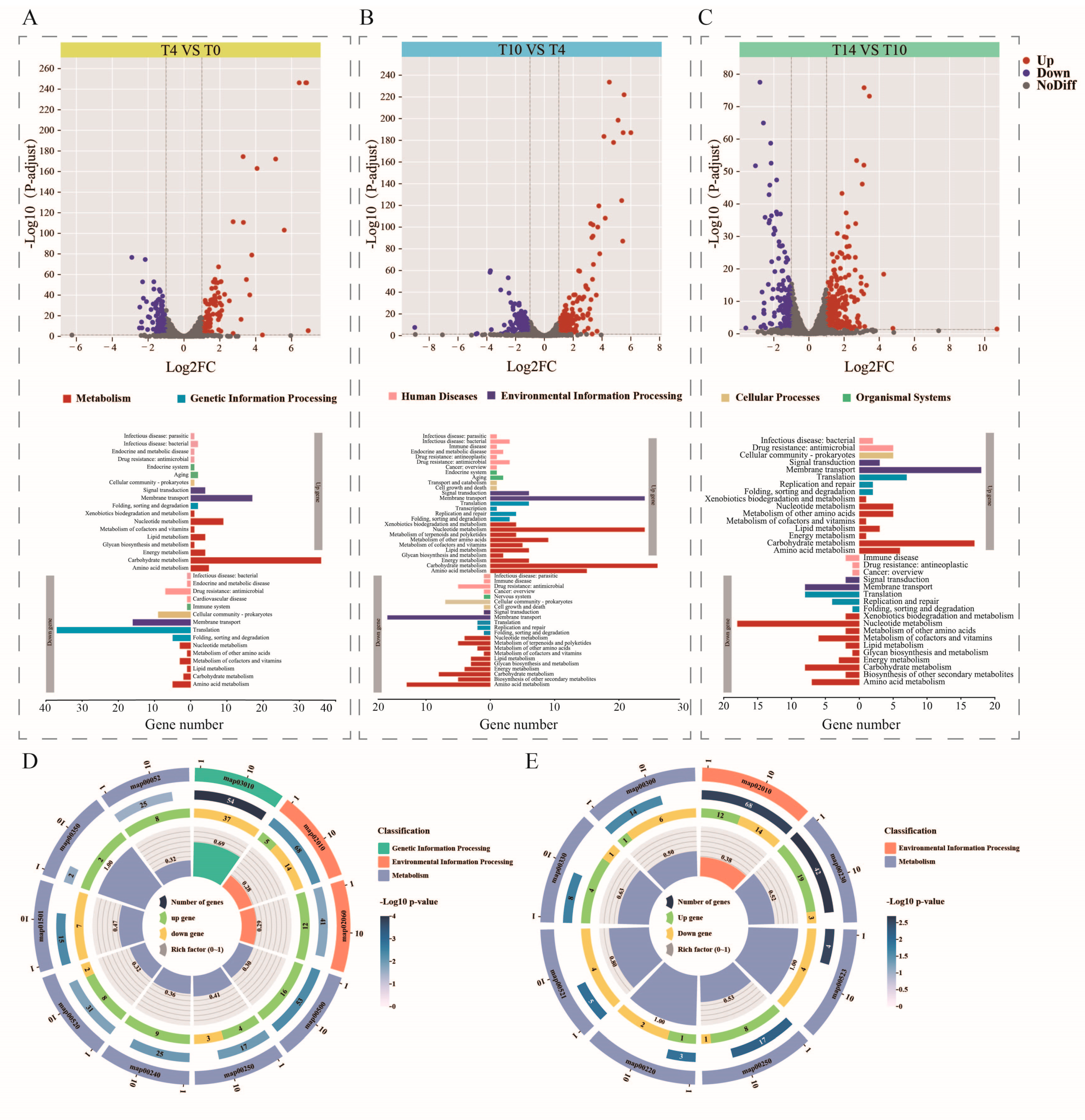 Metabolites 13 01077 g005 Metabolites 13 01077 g005