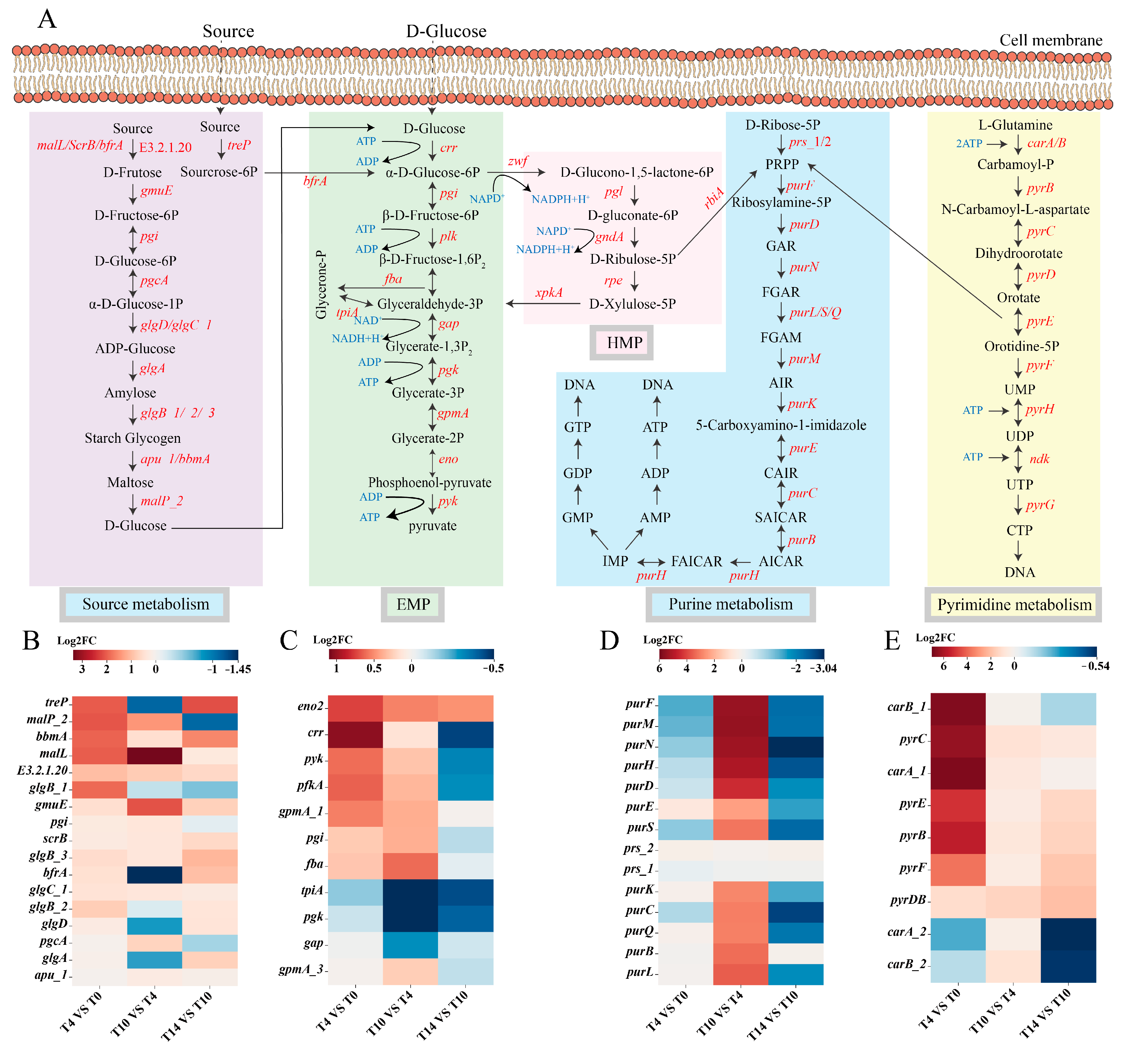 Metabolites 13 01077 g006 Metabolites 13 01077 g006