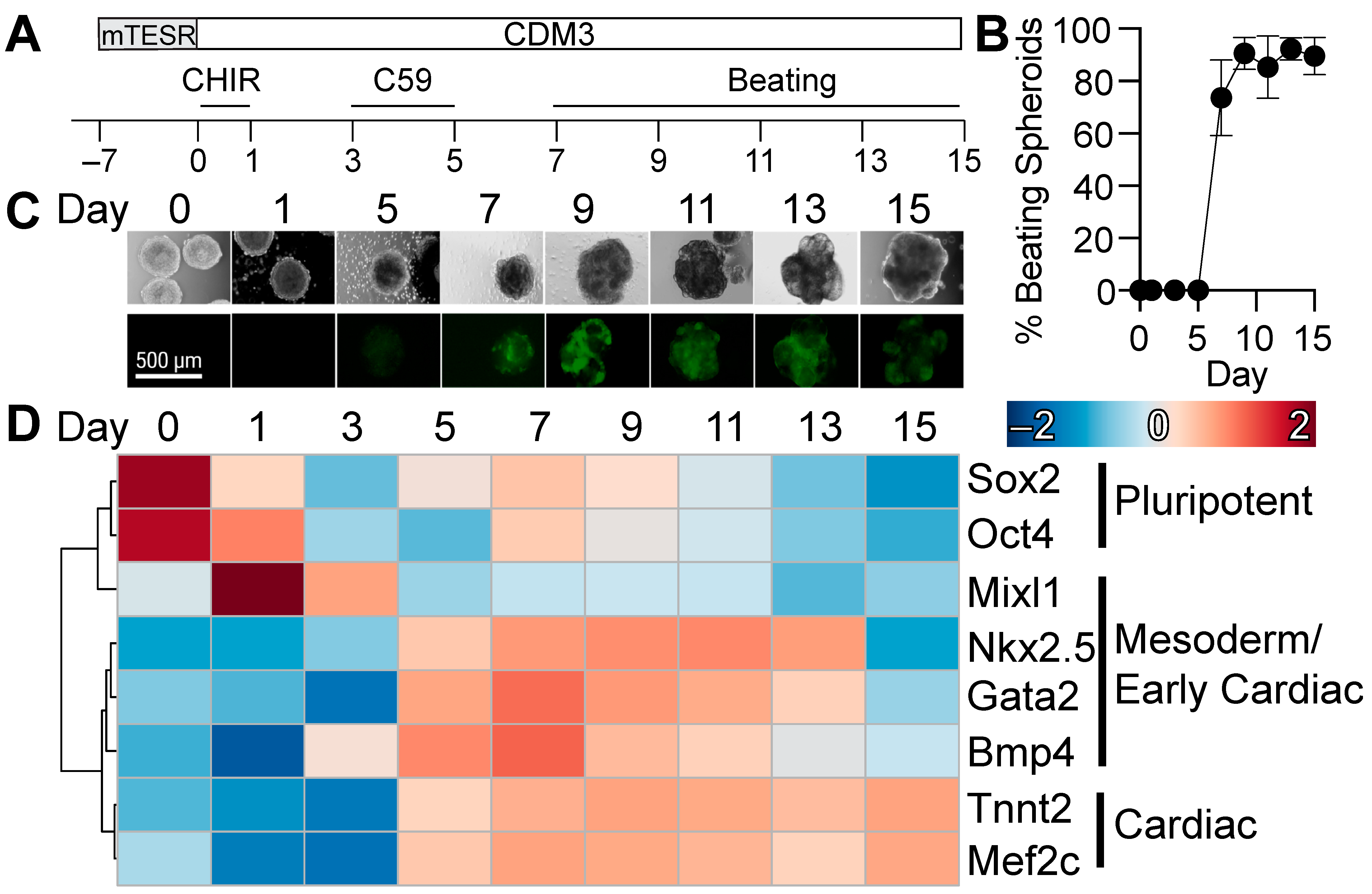 Metabolites 13 01086 g001