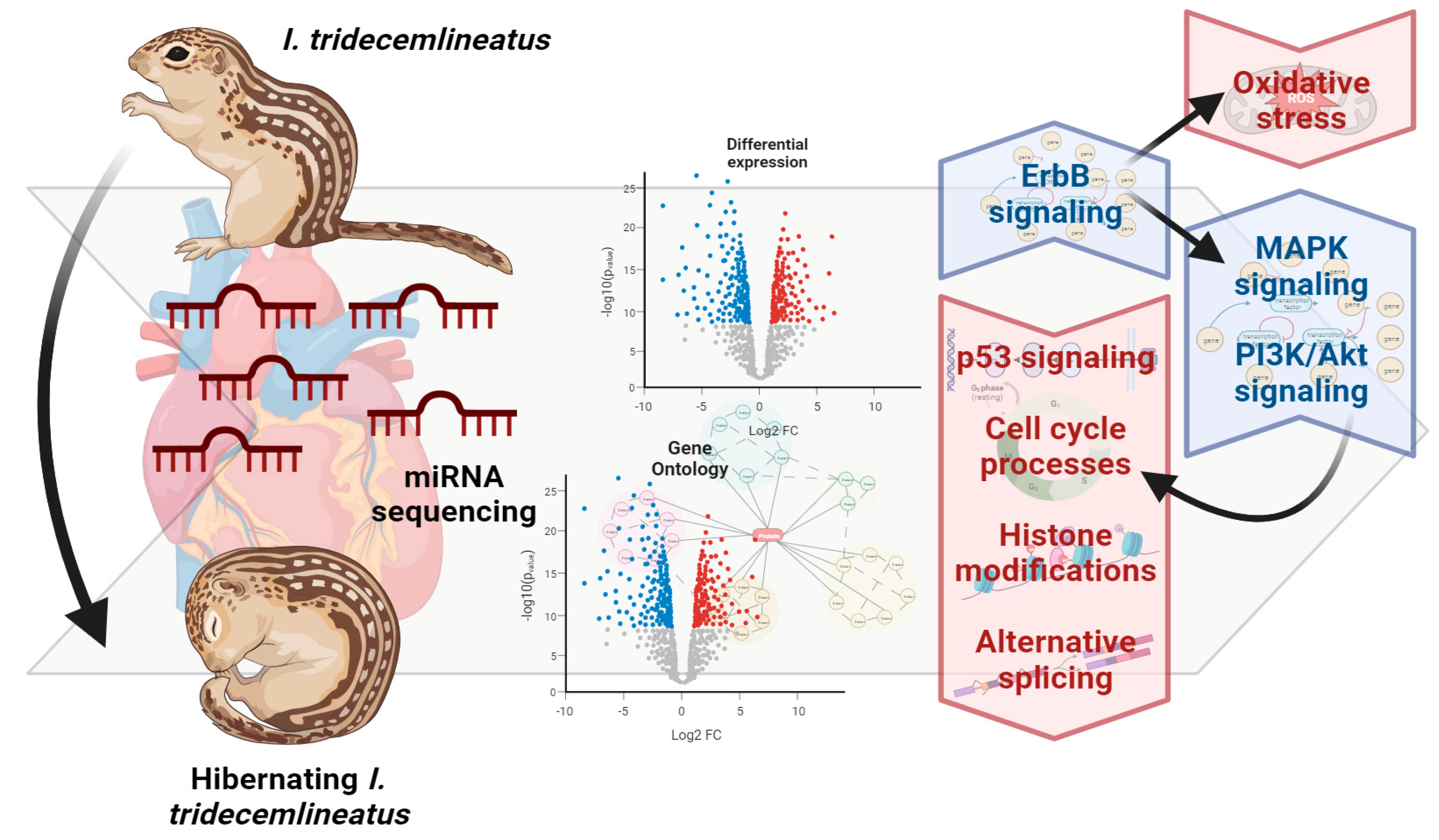 Metabolites 13 01096 g006 Metabolites 13 01096 g006