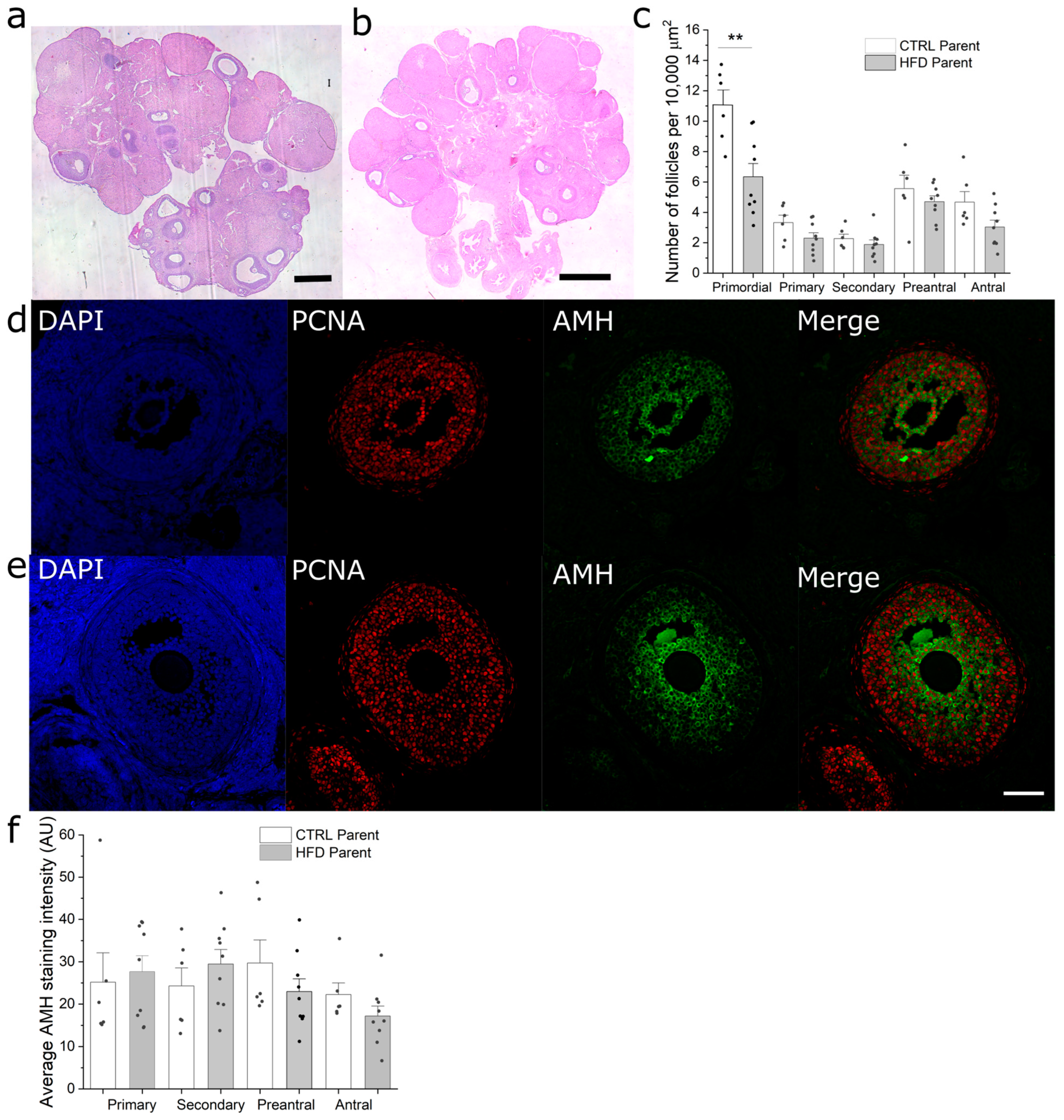 Metabolites 13 01098 g004