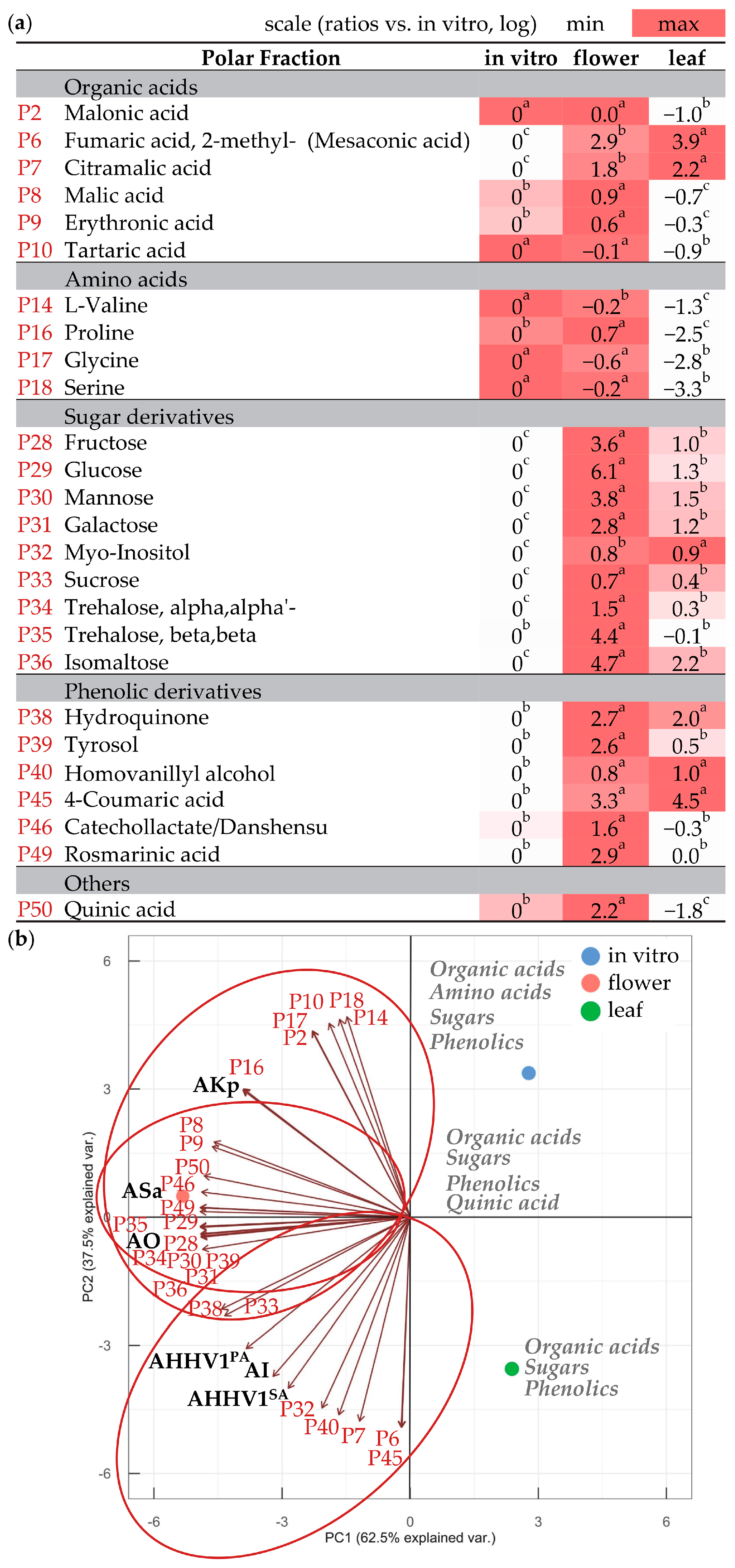 Metabolites 13 01099 g003 Metabolites 13 01099 g003