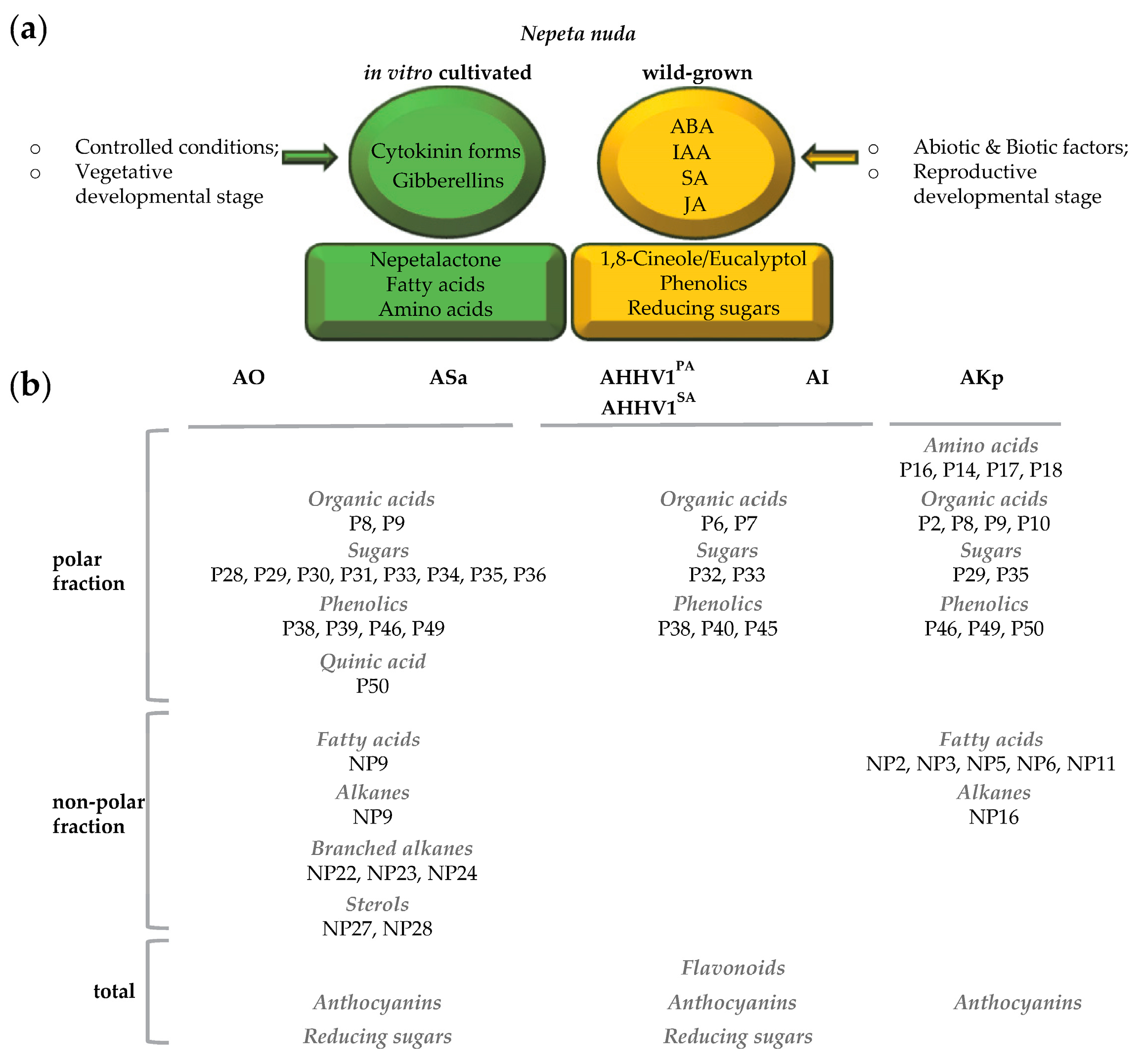 Metabolites 13 01099 g005 Metabolites 13 01099 g005
