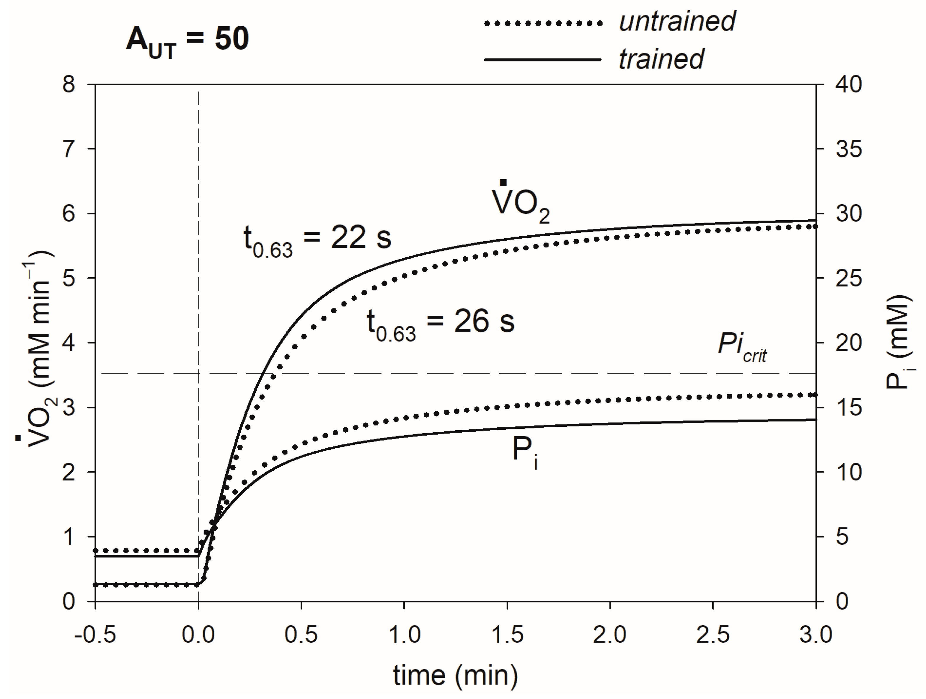Metabolites 13 01111 g004 Metabolites 13 01111 g004