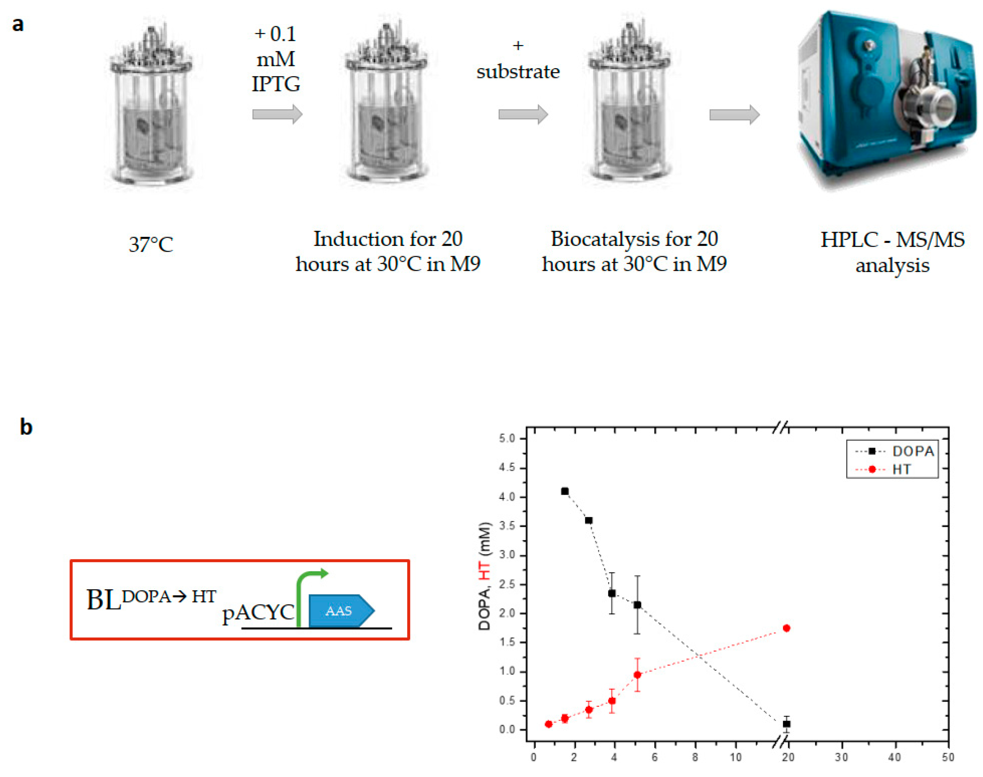 Metabolites 13 01126 g001