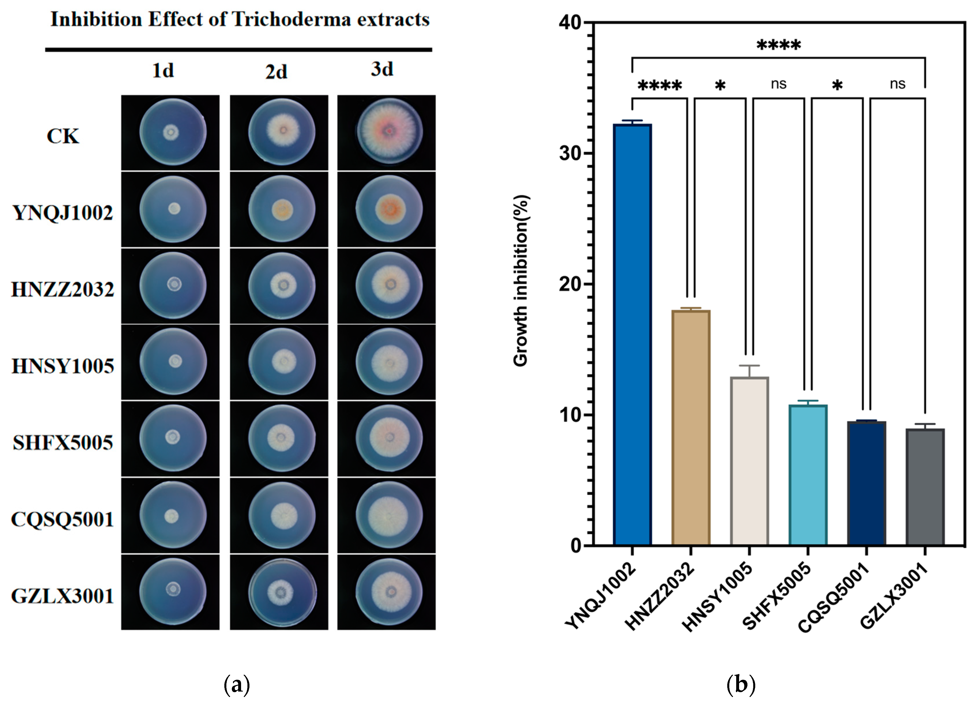 Metabolites 13 01144 g003