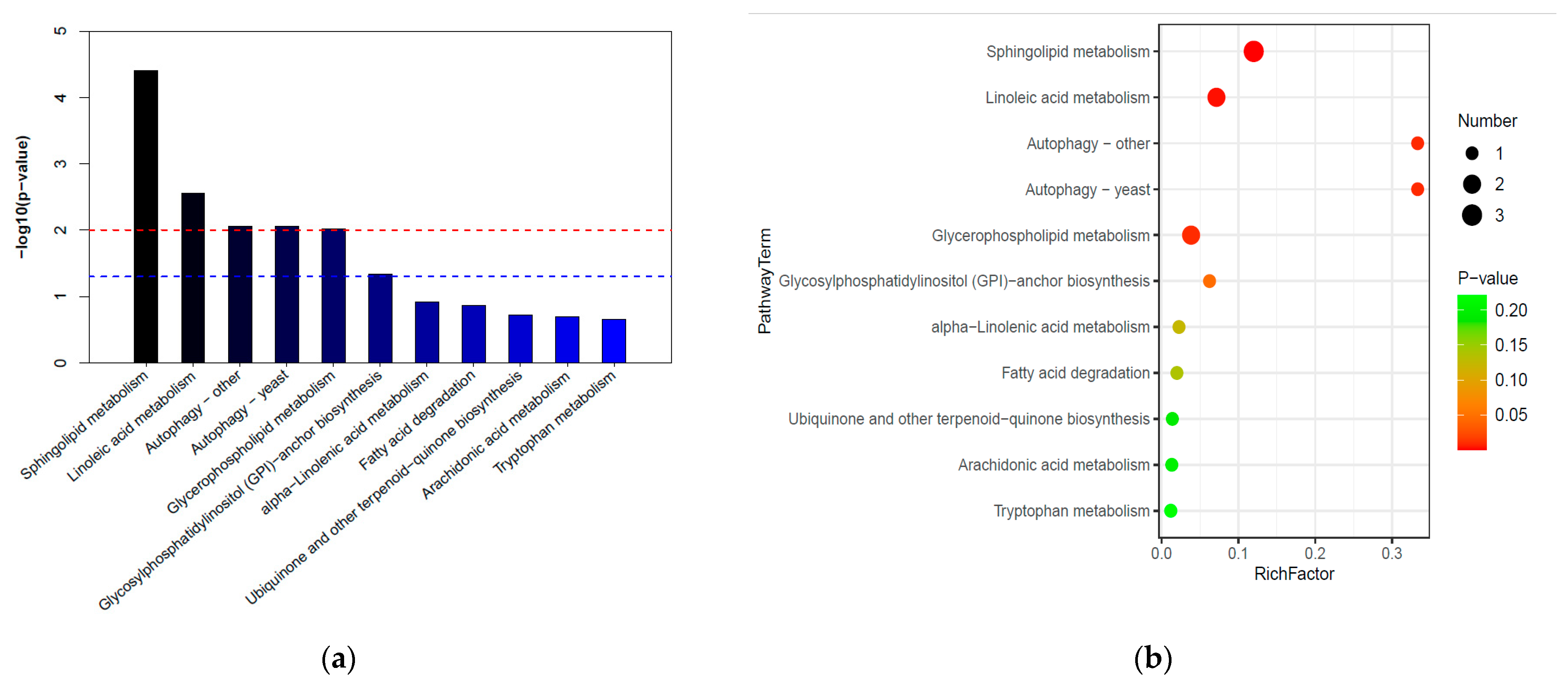 Metabolites 13 01144 g005