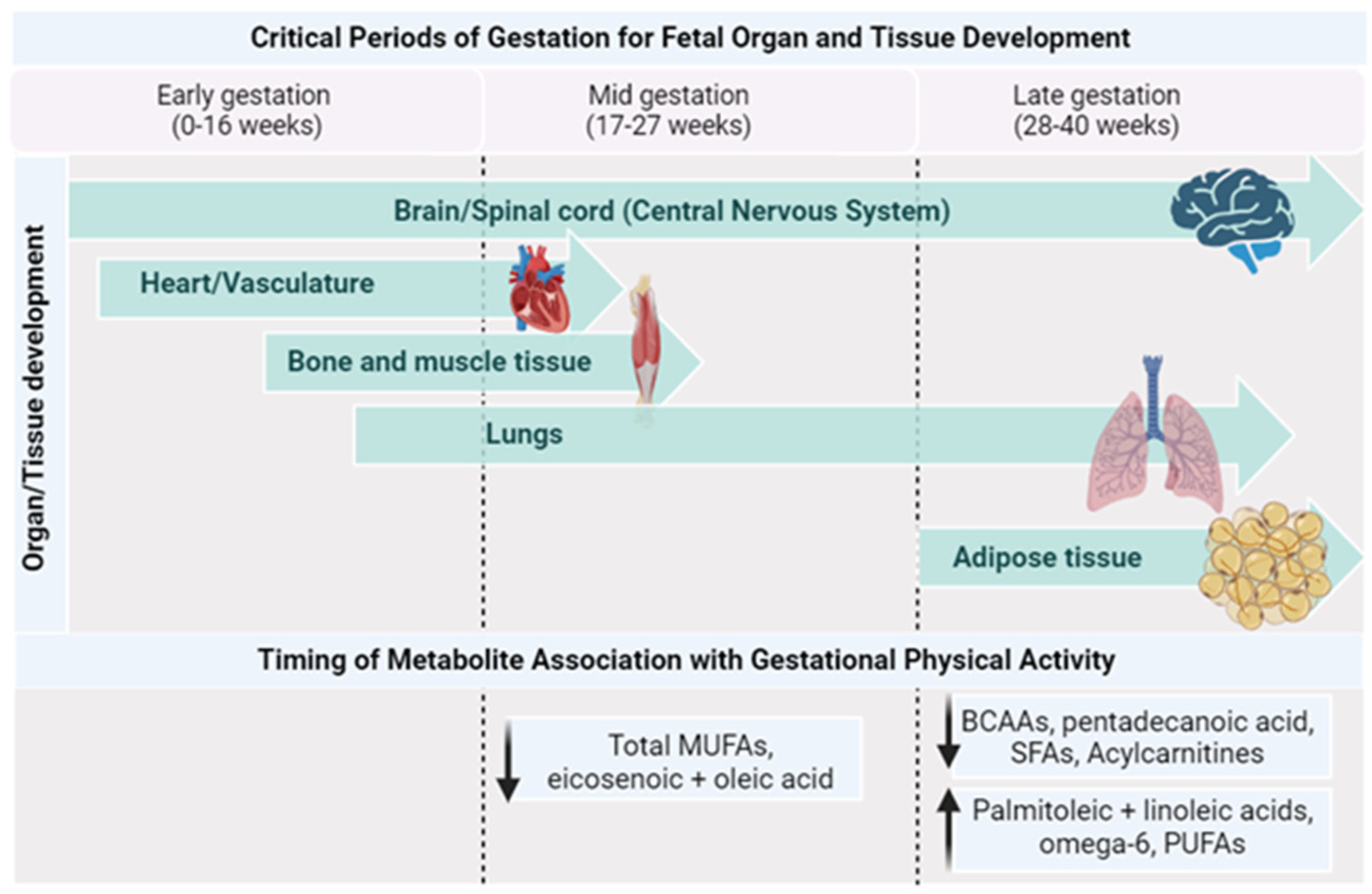 Metabolites 13 01178 g003