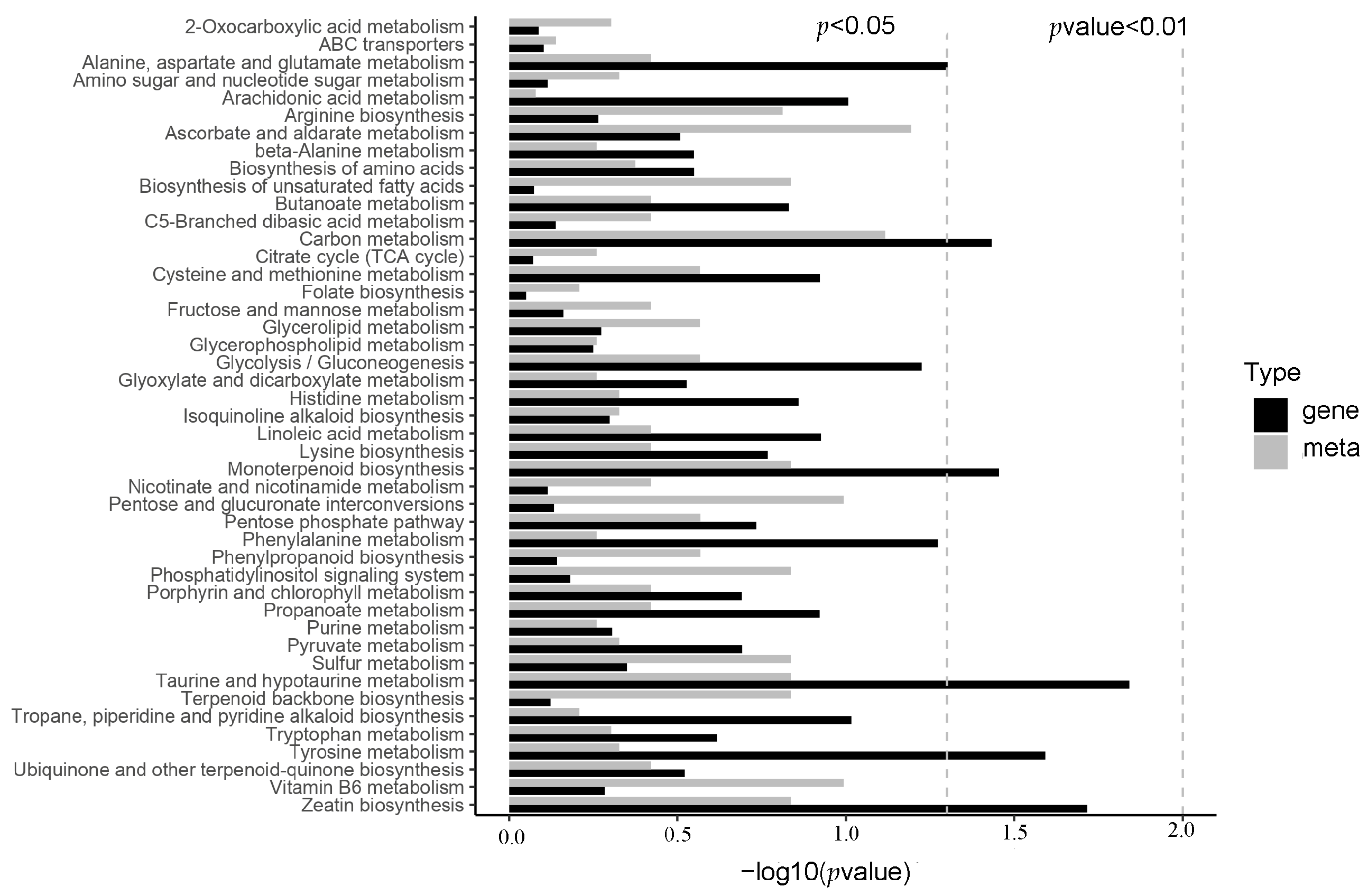Metabolites 13 01195 g001