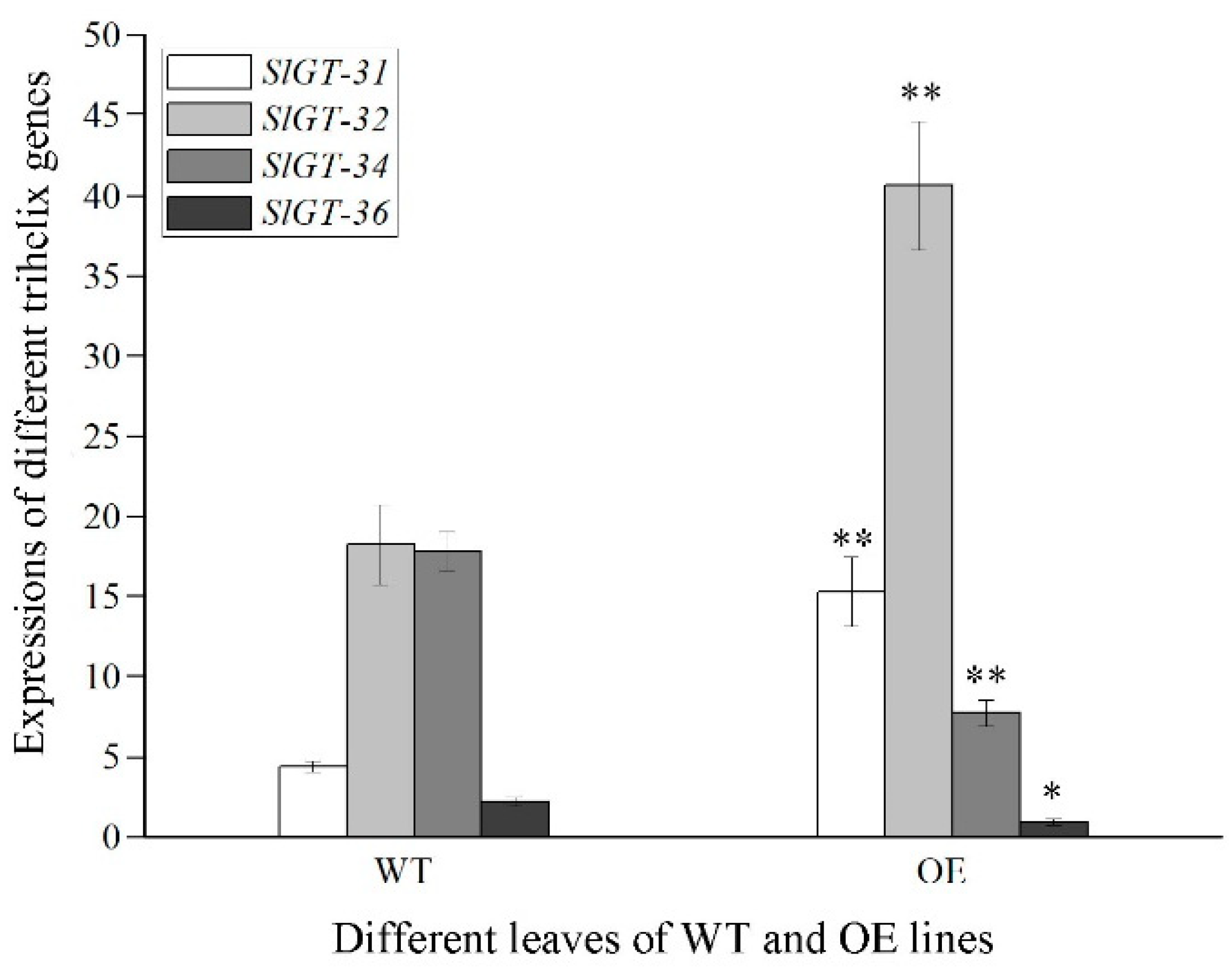 Metabolites 13 01195 g005