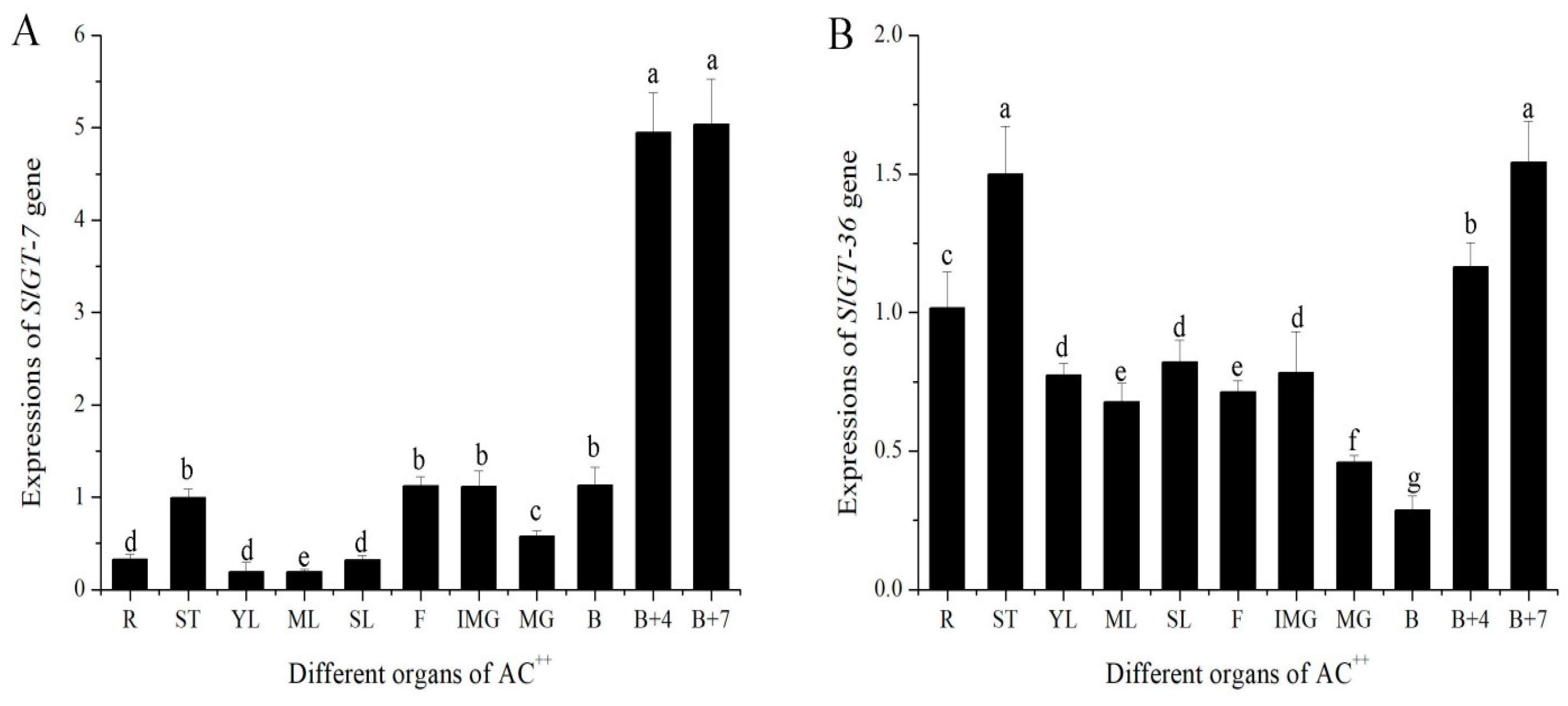 Metabolites 13 01195 g006