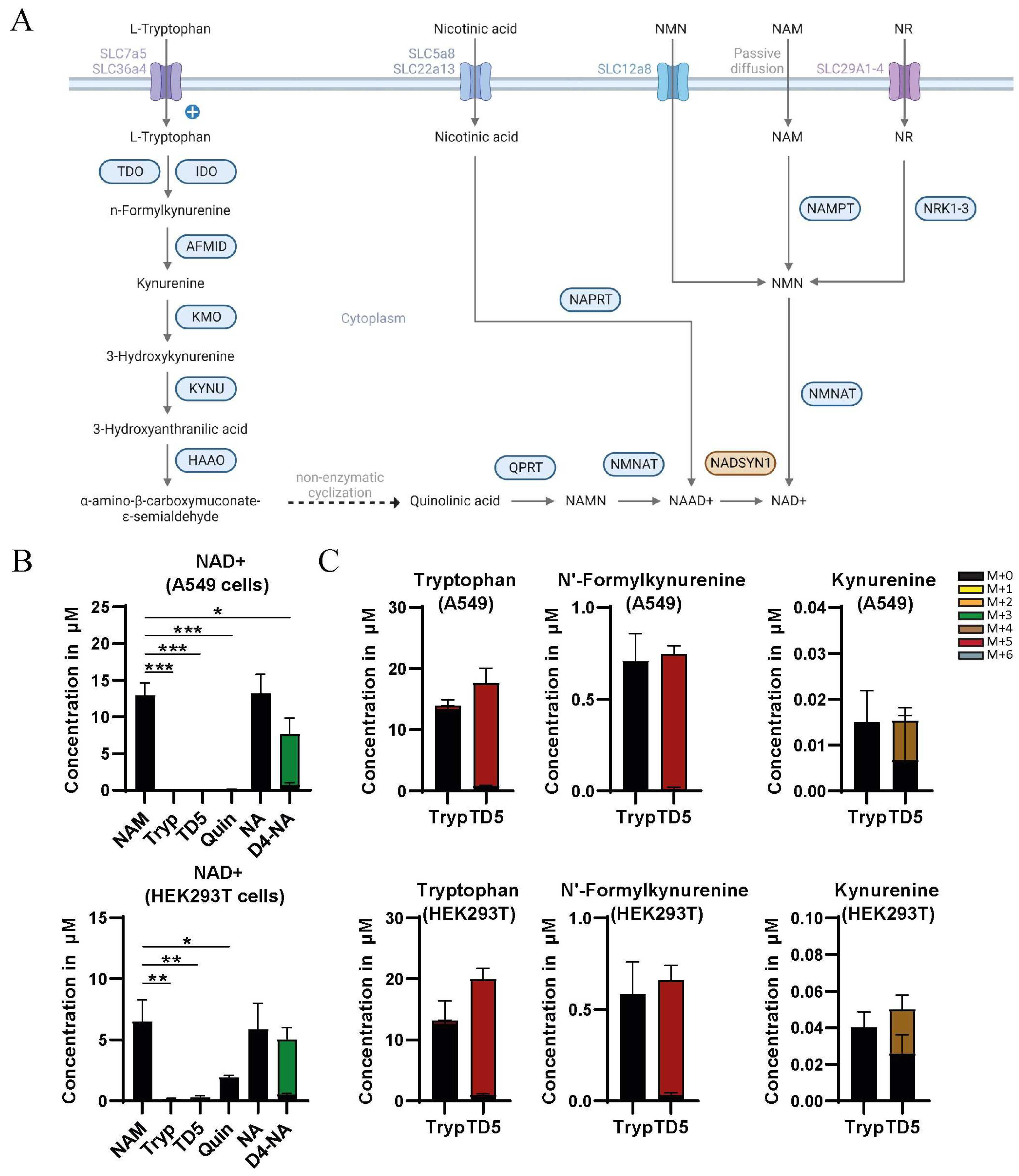 Metabolites 13 01196 g001