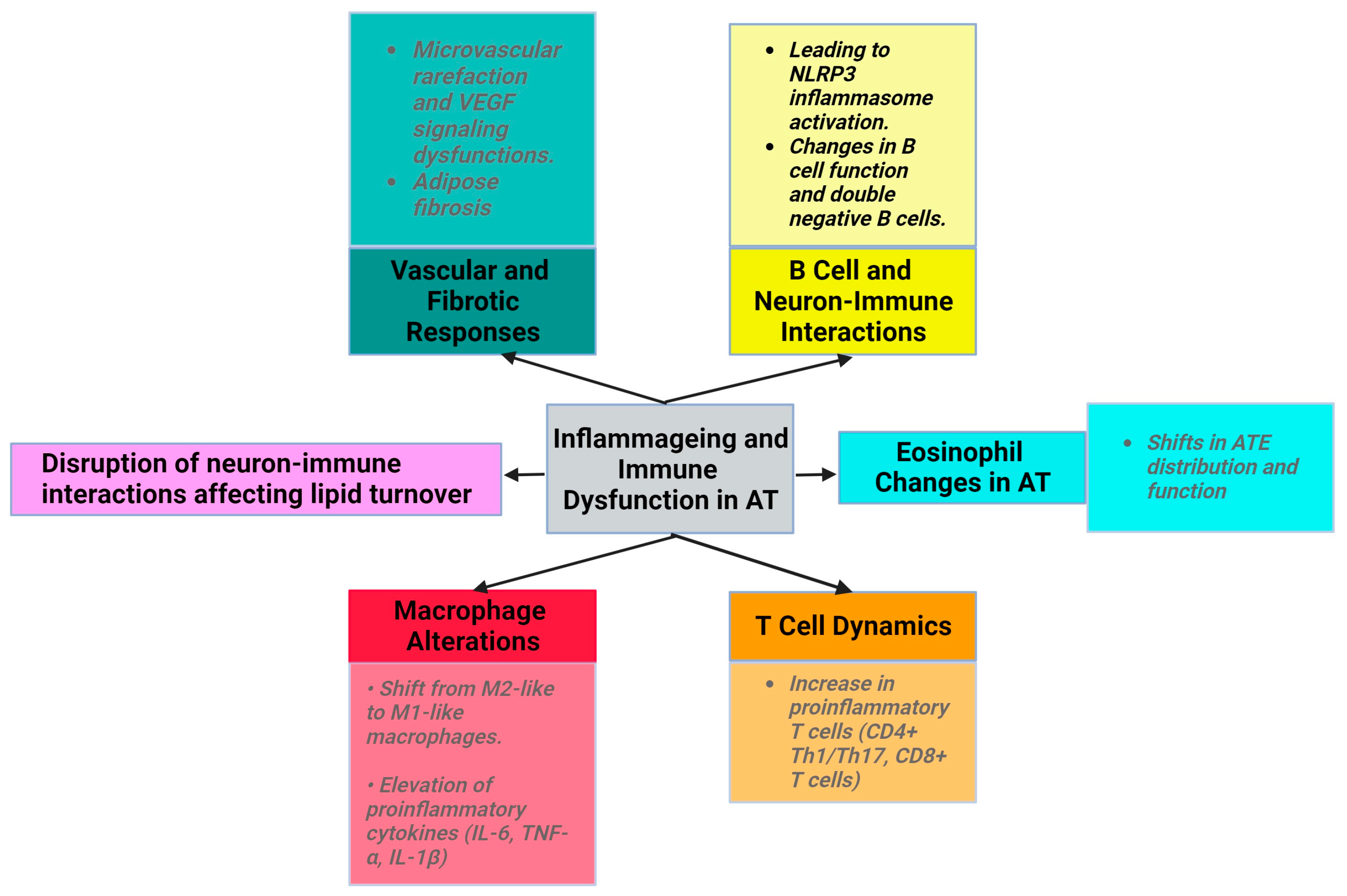 Metabolites 14 00004 g001 Metabolites 14 00004 g001