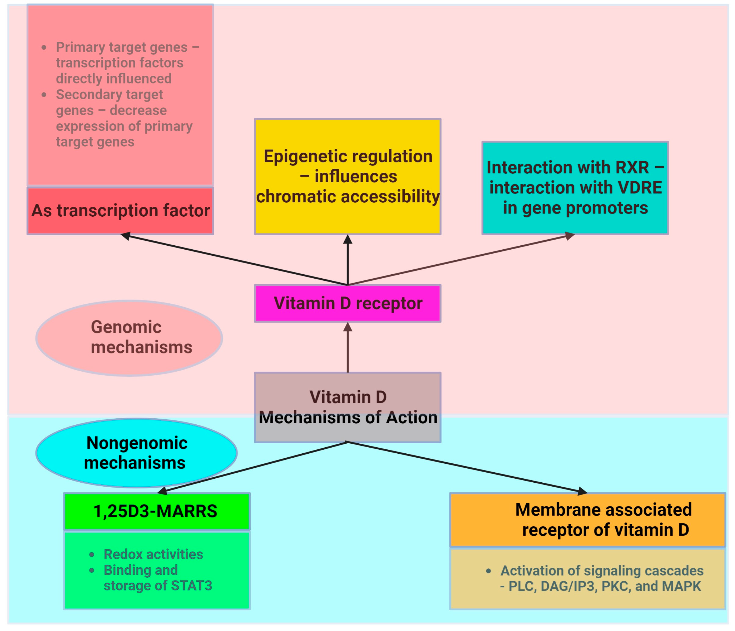 Metabolites 14 00004 g002 Metabolites 14 00004 g002
