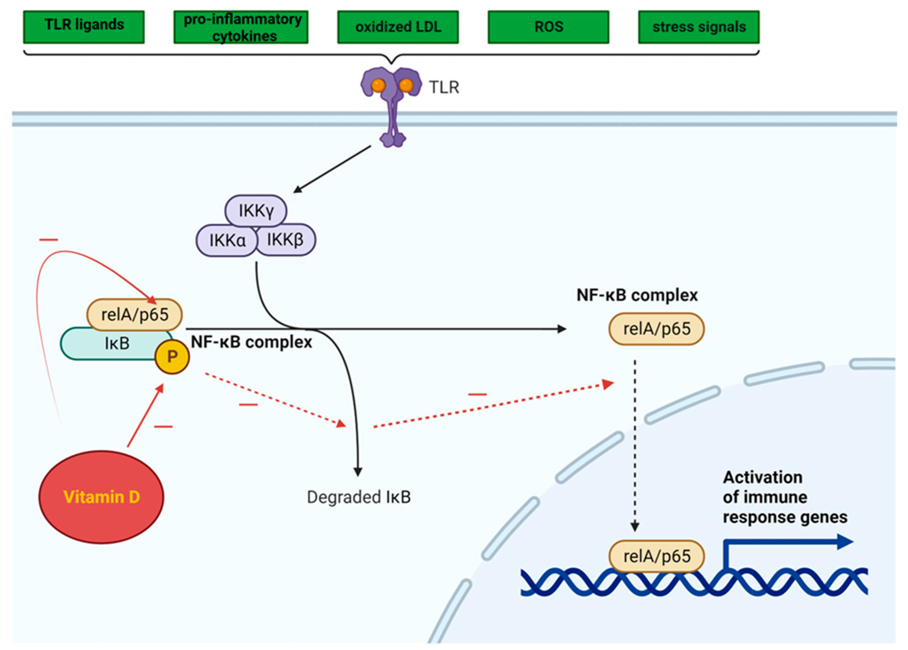 Metabolites 14 00004 g003 Metabolites 14 00004 g003