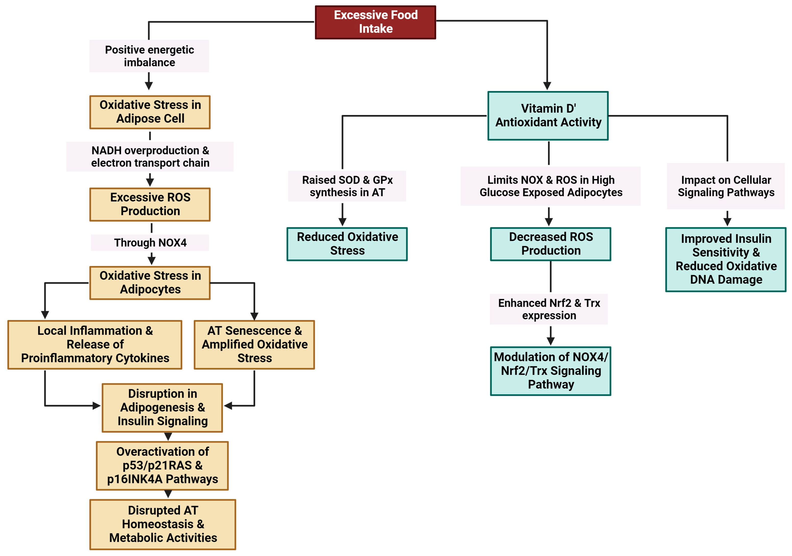 Metabolites 14 00004 g005 Metabolites 14 00004 g005