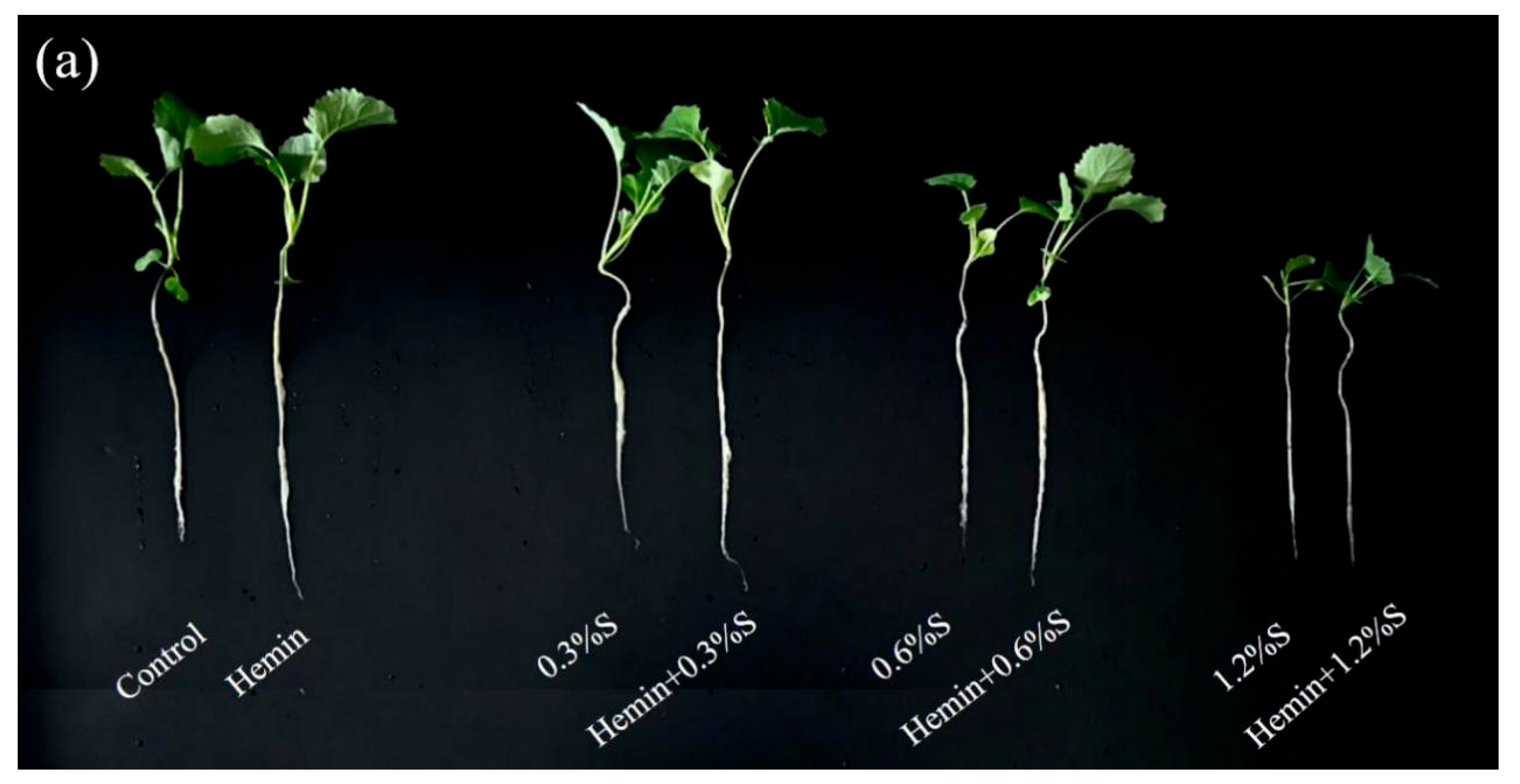 Metabolites 14 00057 g002a