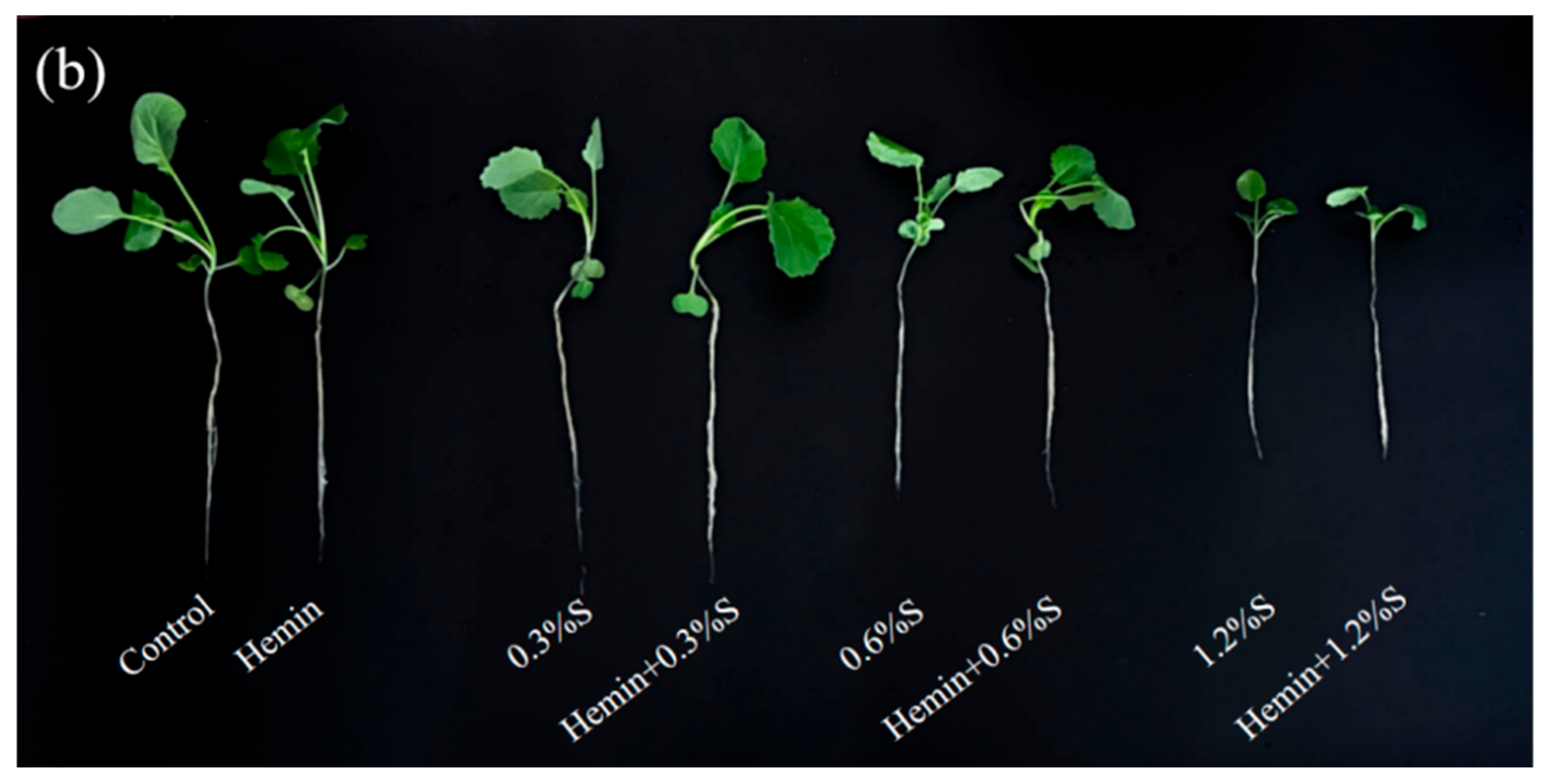 Metabolites 14 00057 g002b