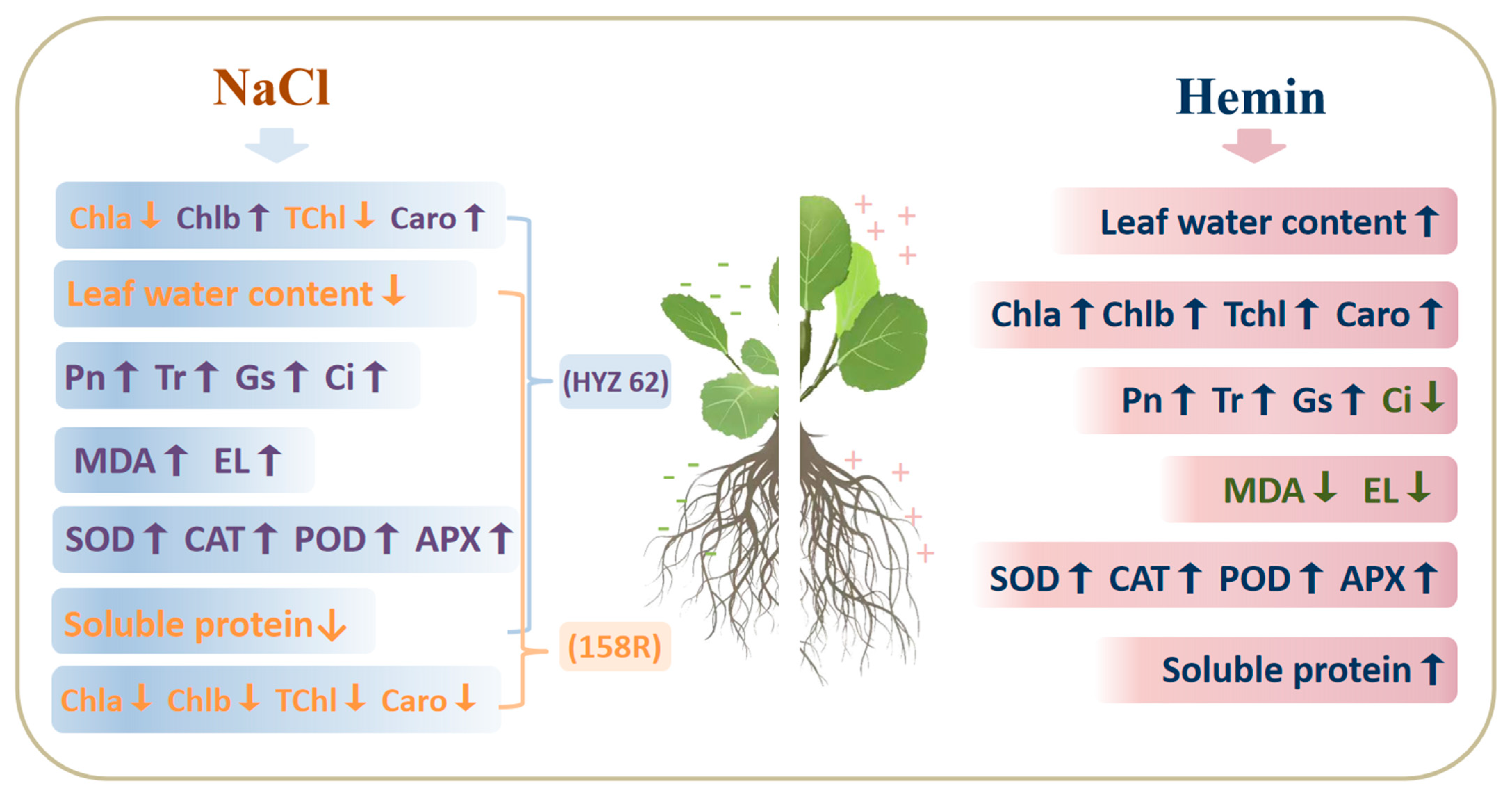 Metabolites 14 00057 g009