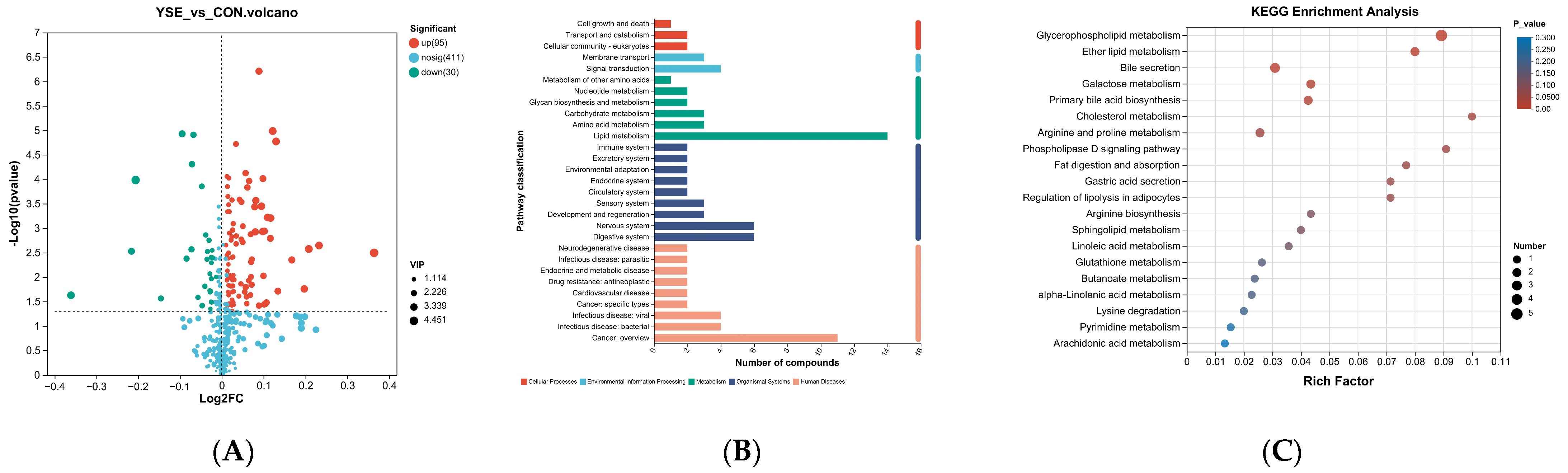 Metabolites 14 00058 g003