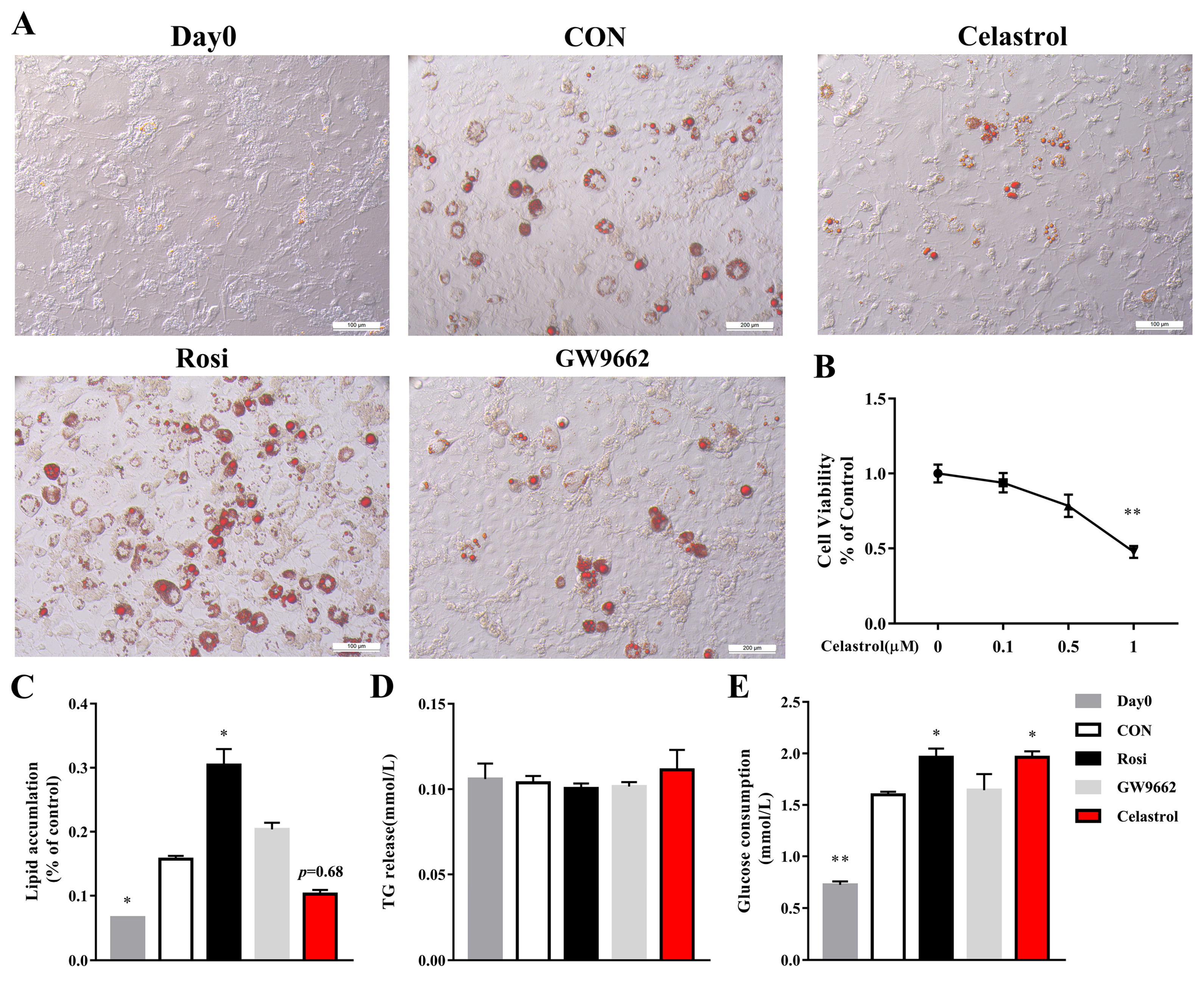 Metabolites 14 00064 g005