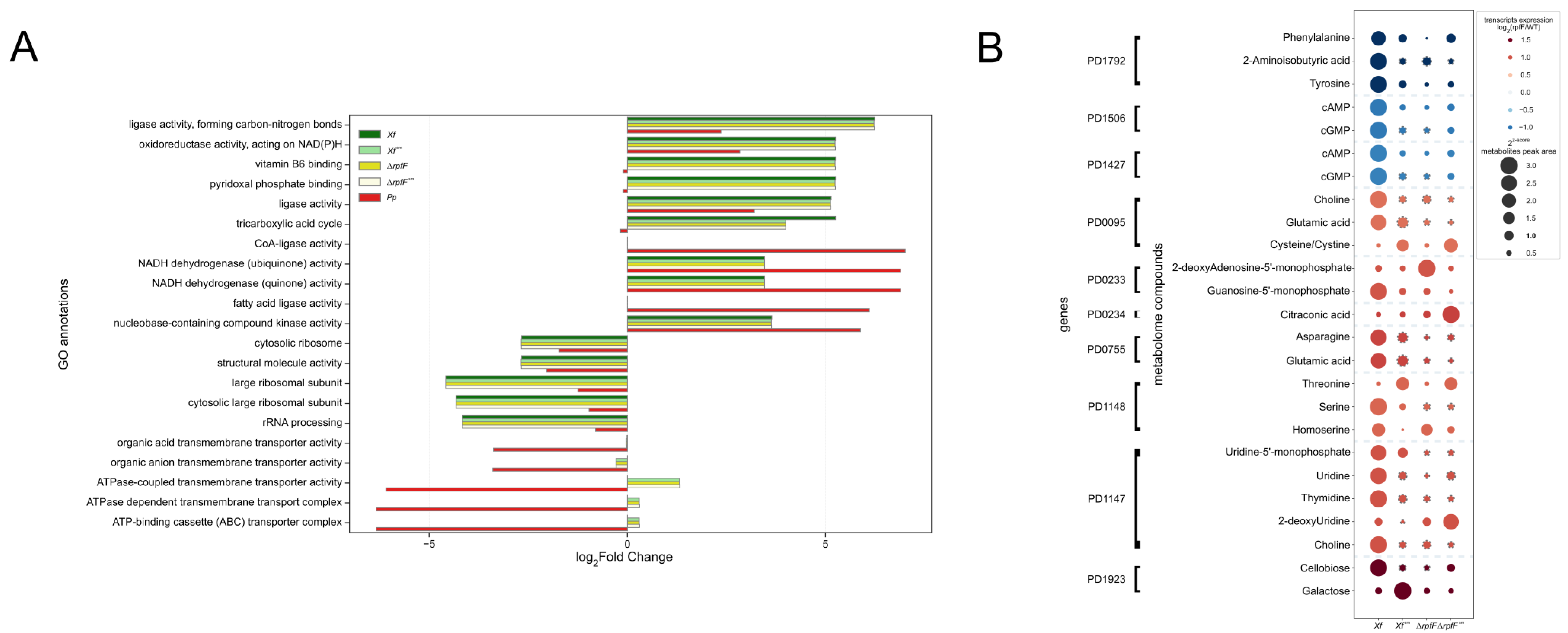 Metabolites 14 00082 g006