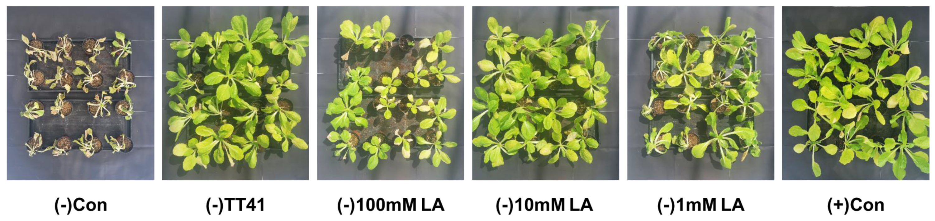 Metabolites 14 00087 g006