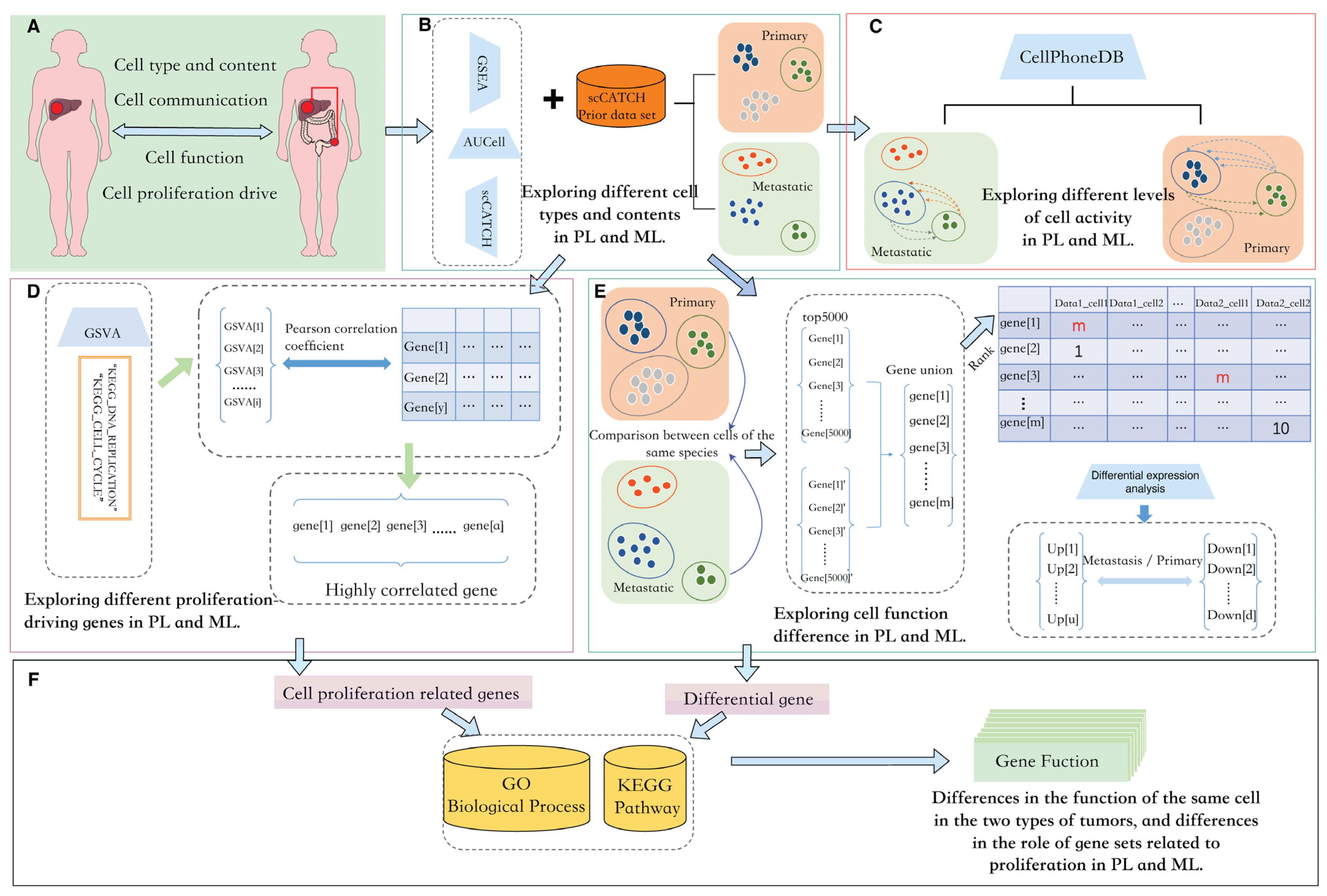 Metabolites 14 00090 g001