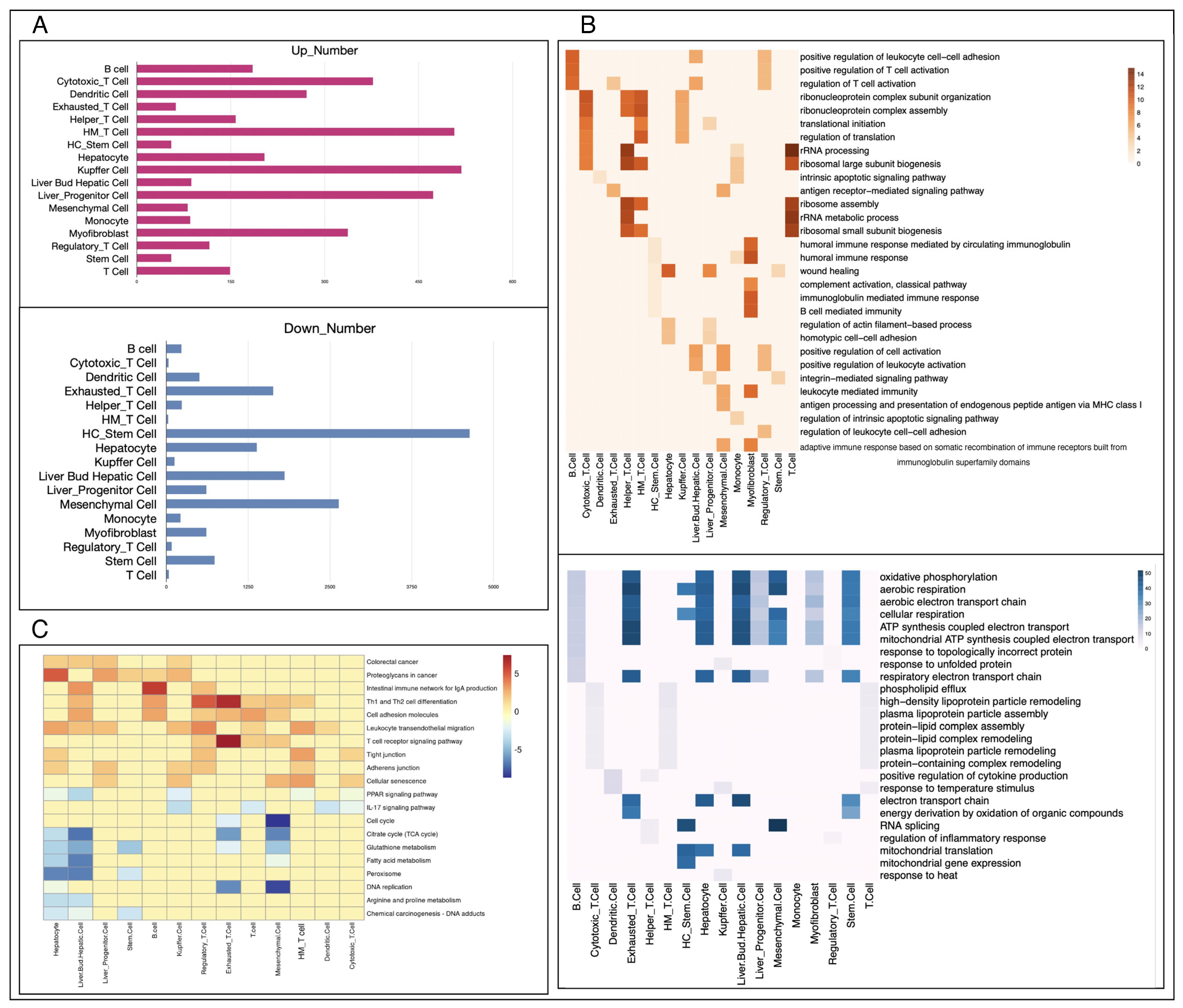 Metabolites 14 00090 g003
