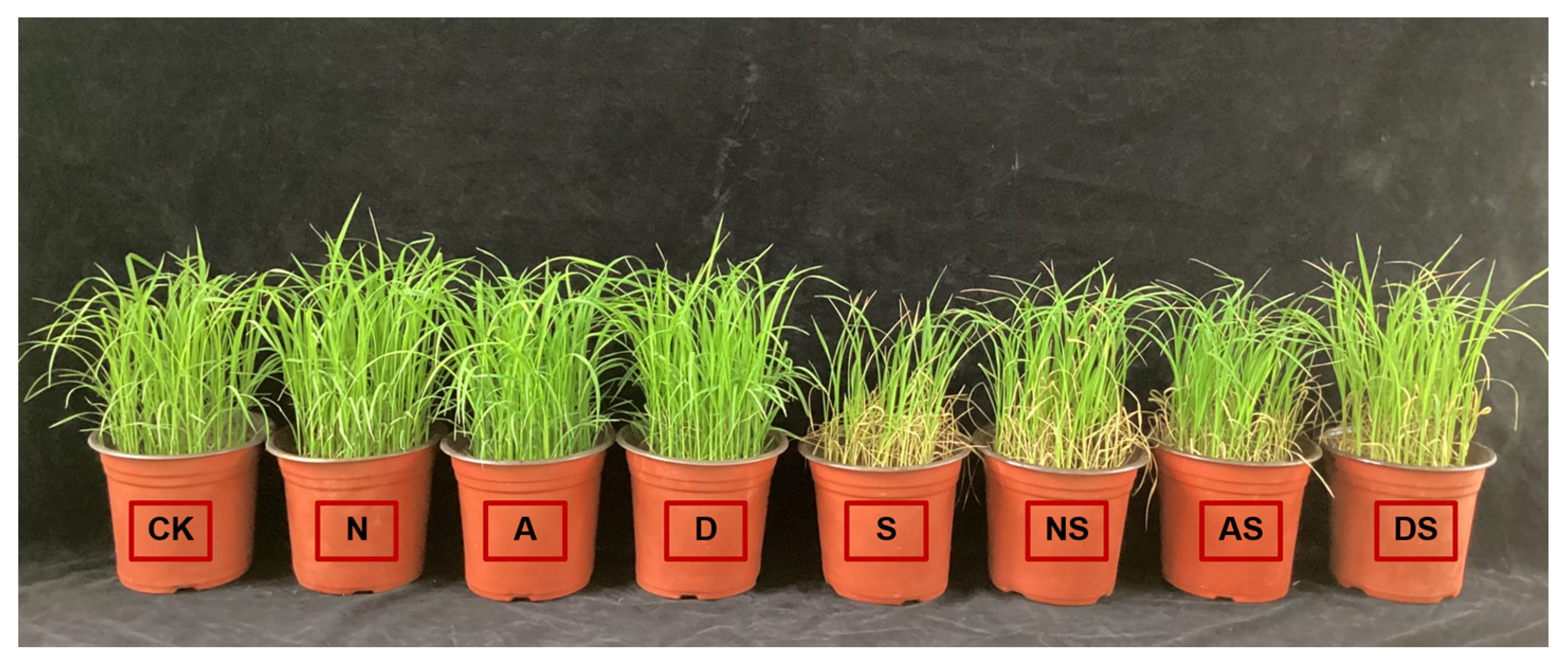 Metabolites 14 00142 g001