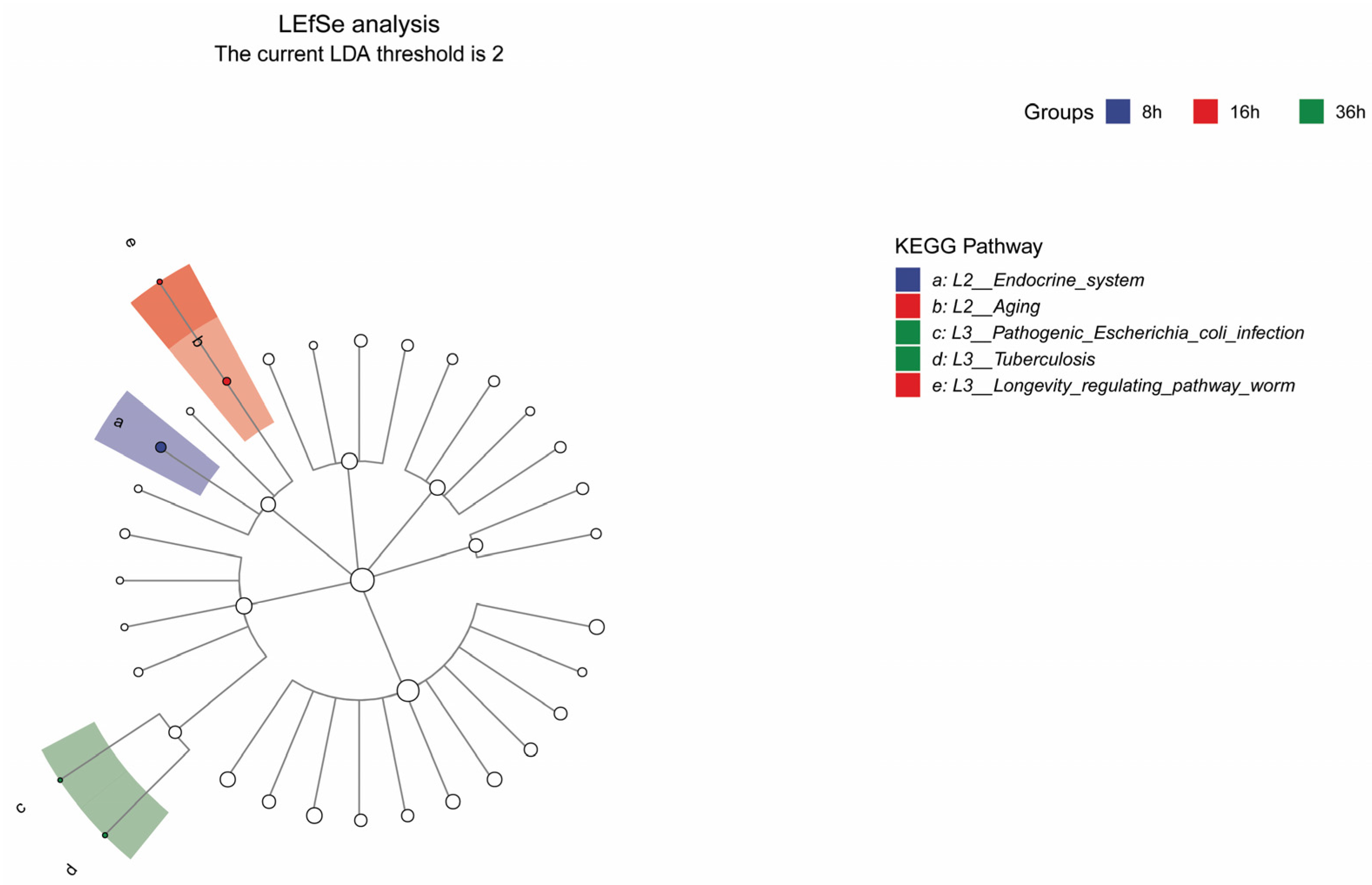 Metabolites 14 00158 g003