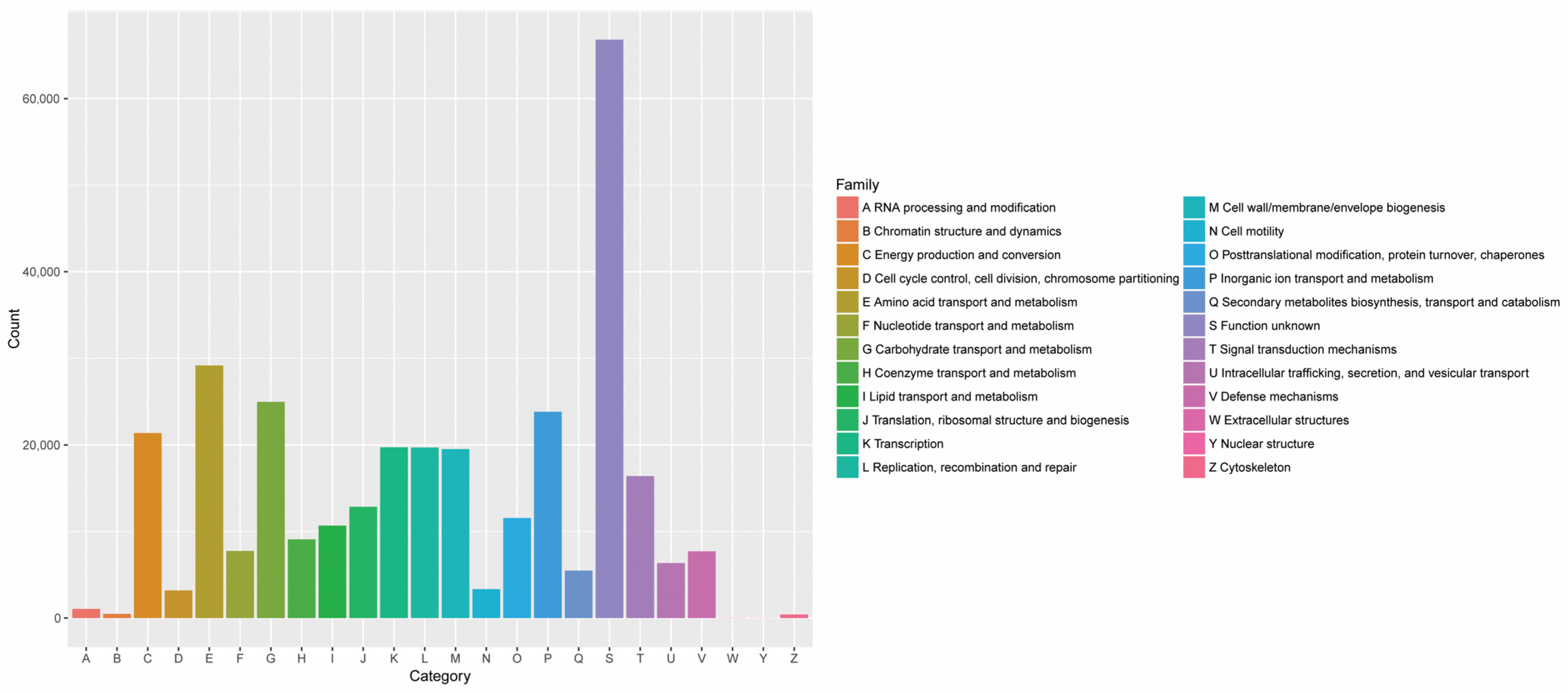 Metabolites 14 00158 g005