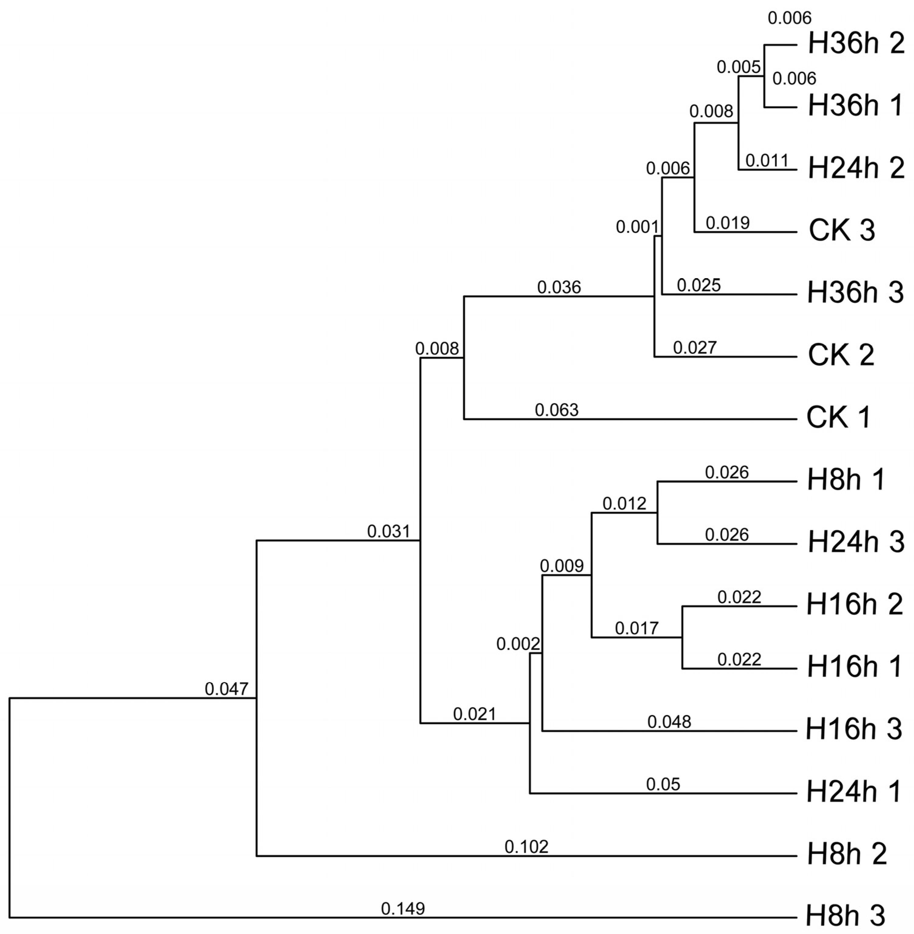 Metabolites 14 00158 g008