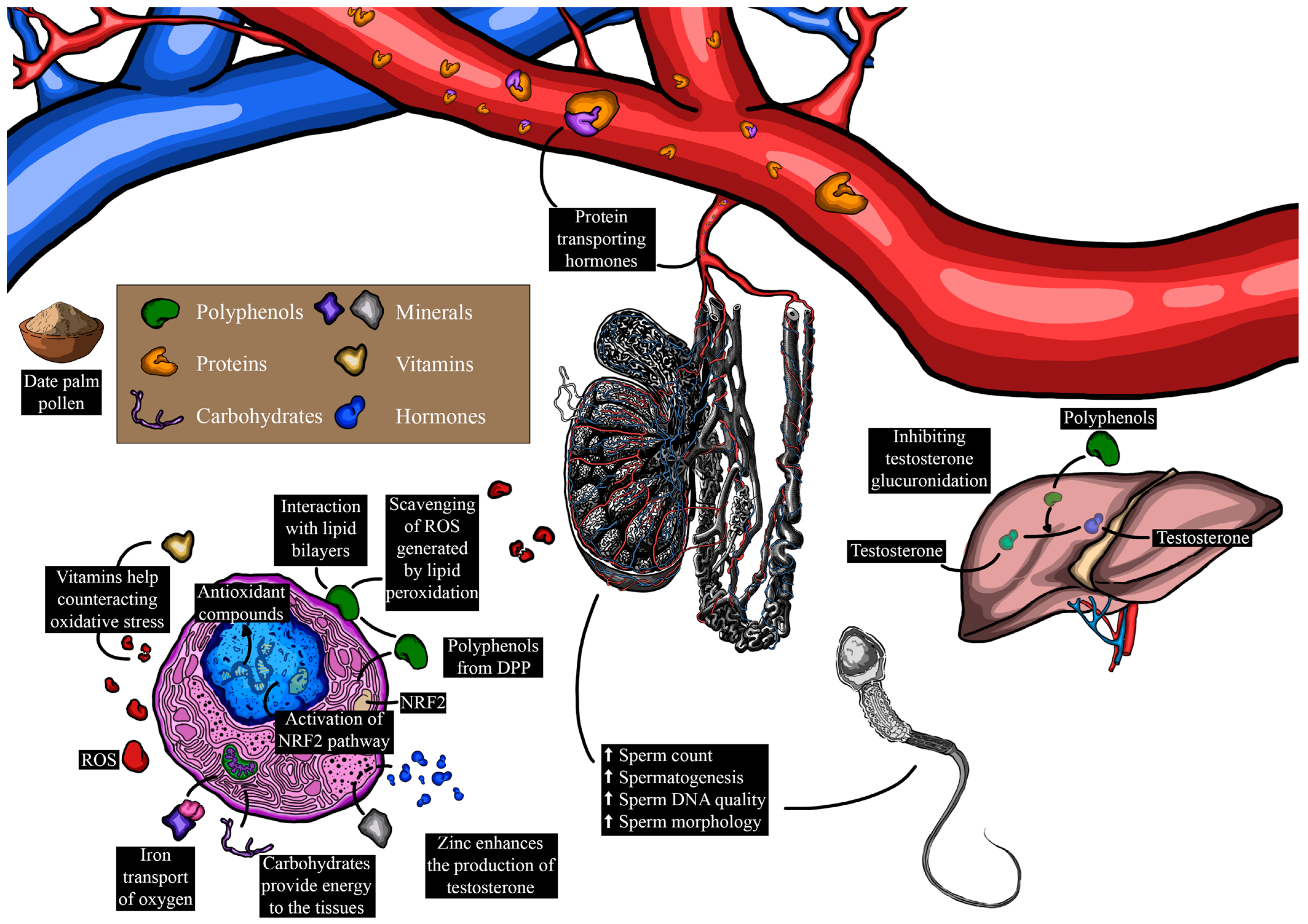 Metabolites 14 00166 g006 Metabolites 14 00166 g006