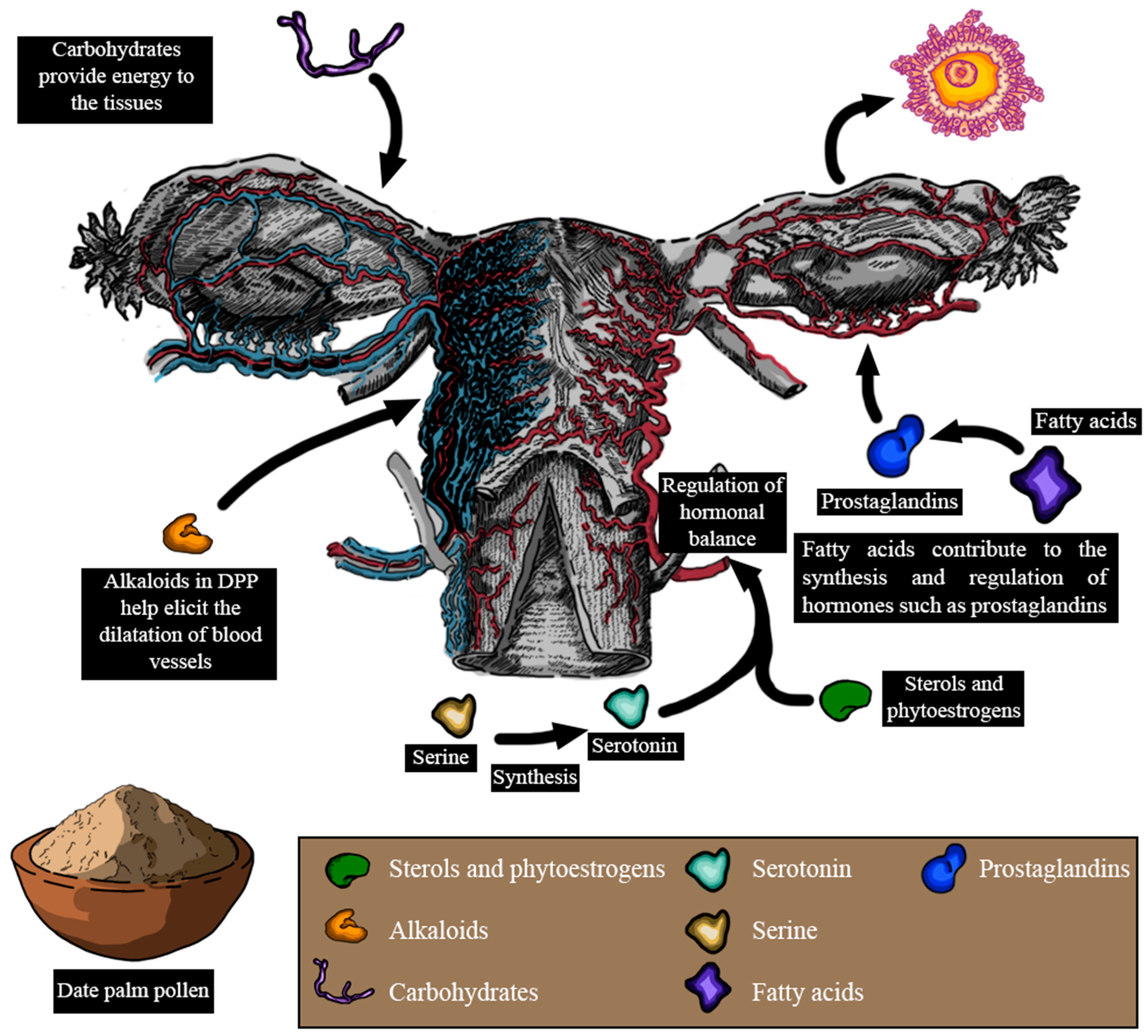 Metabolites 14 00166 g007 Metabolites 14 00166 g007