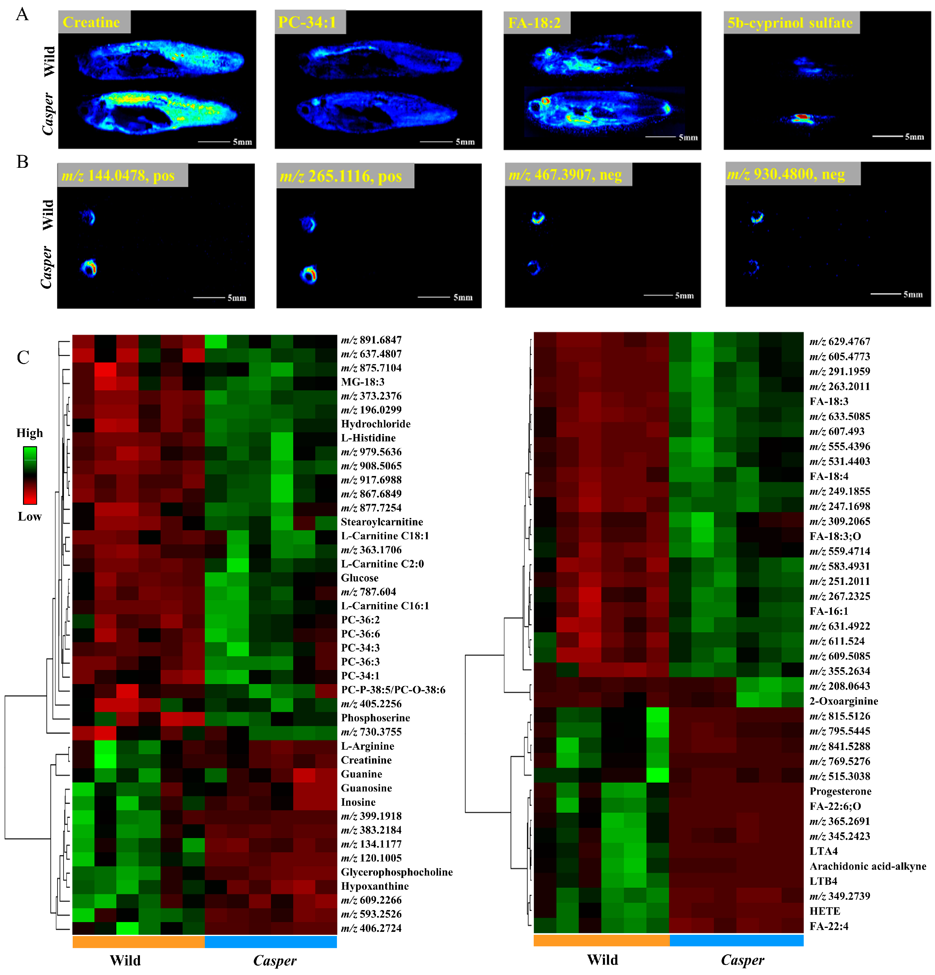 Metabolites 14 00204 g003