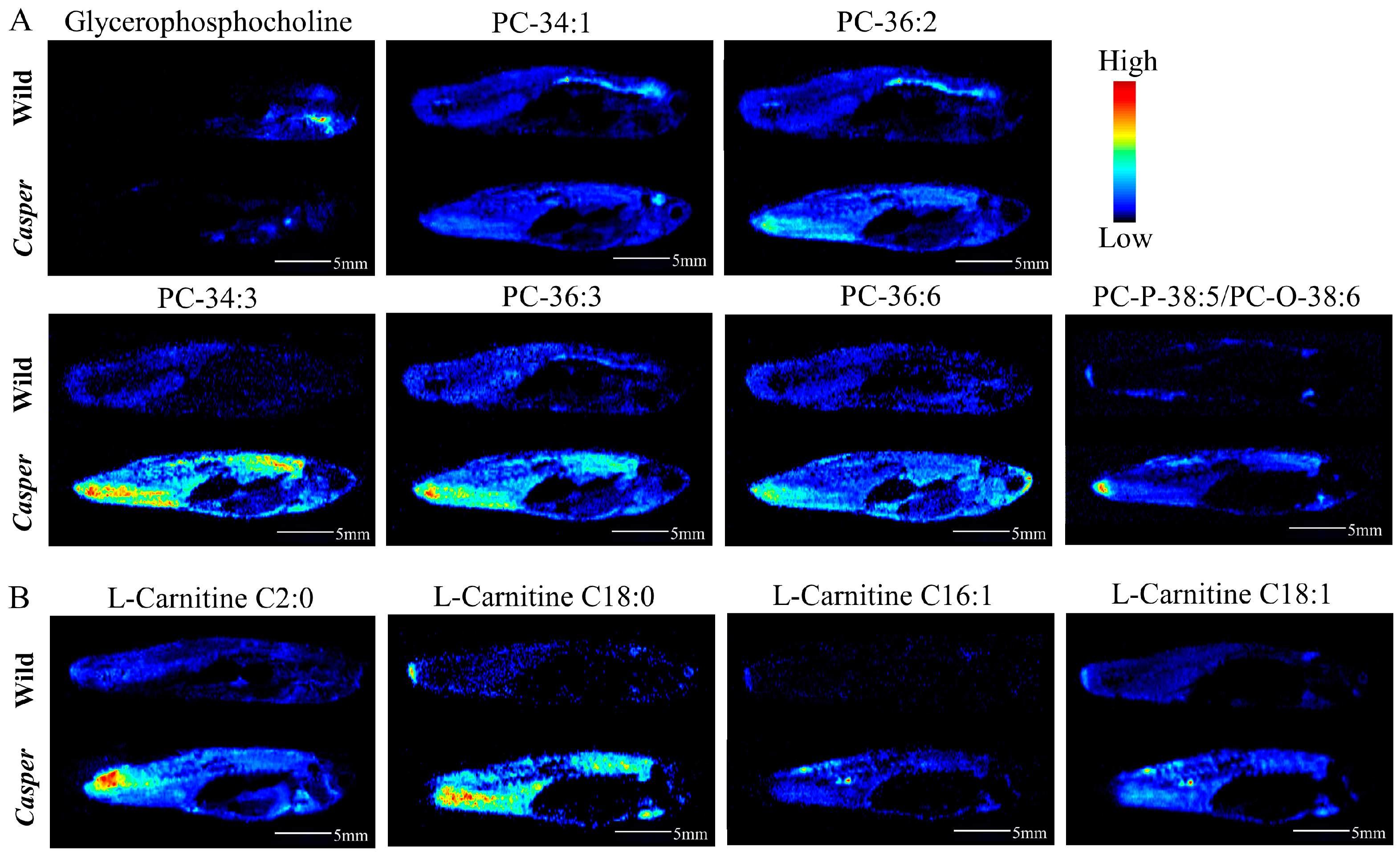 Metabolites 14 00204 g005