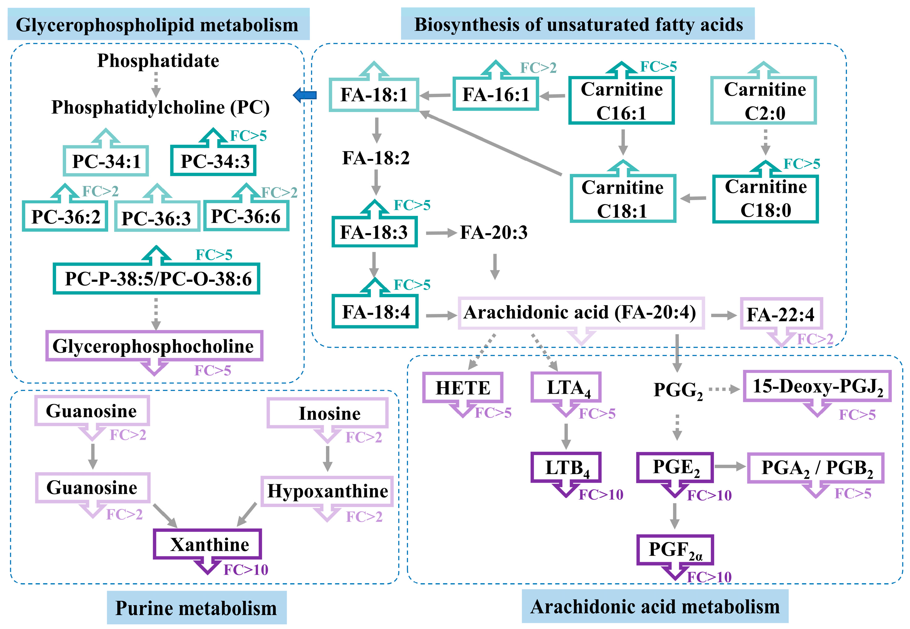 Metabolites 14 00204 g006