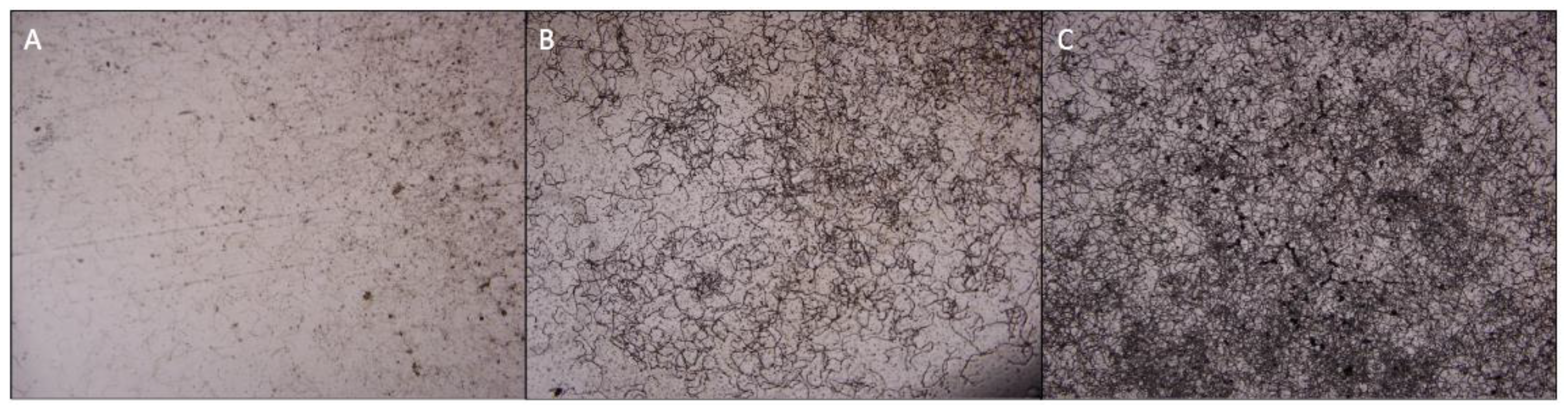 Metabolites 14 00206 g002