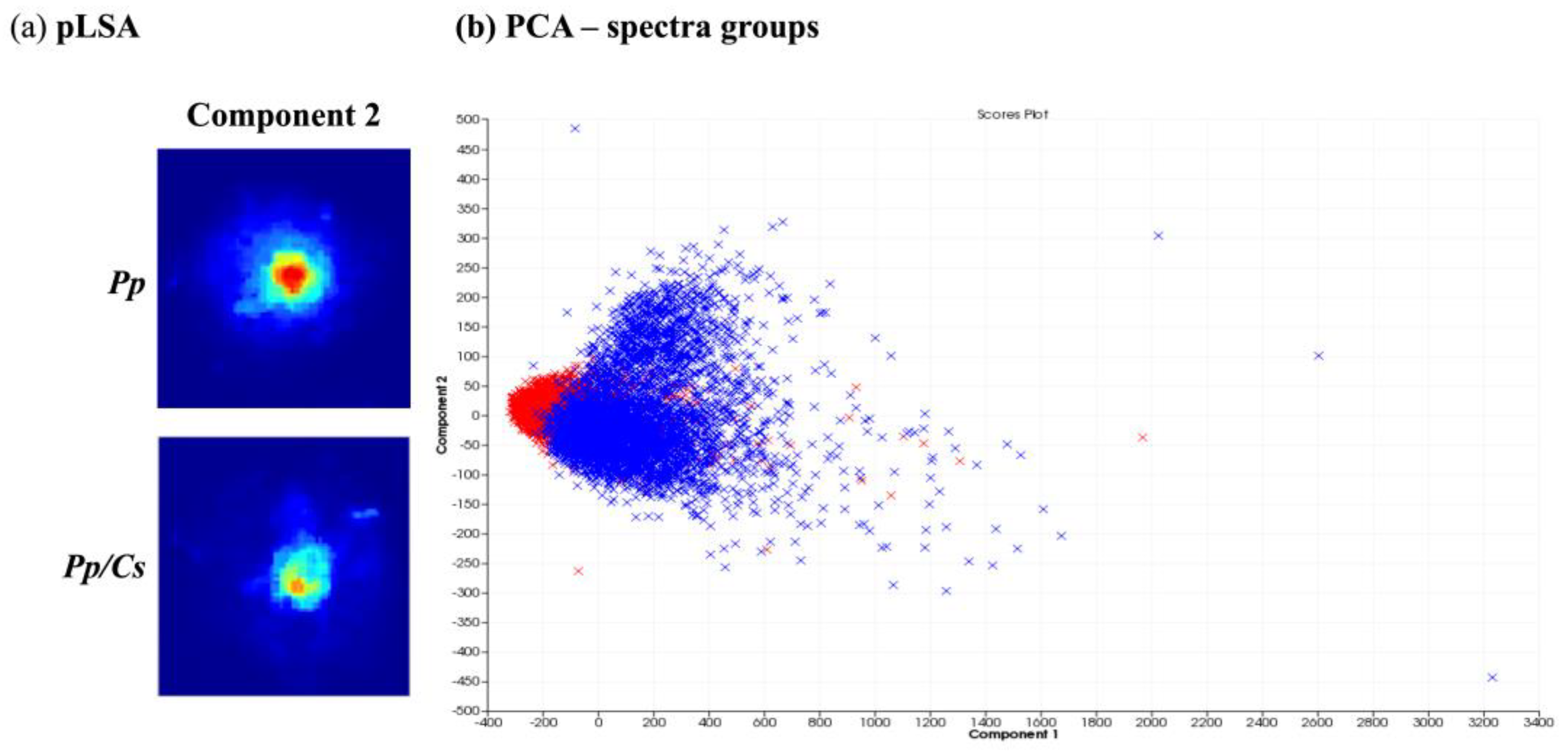 Metabolites 14 00206 g004