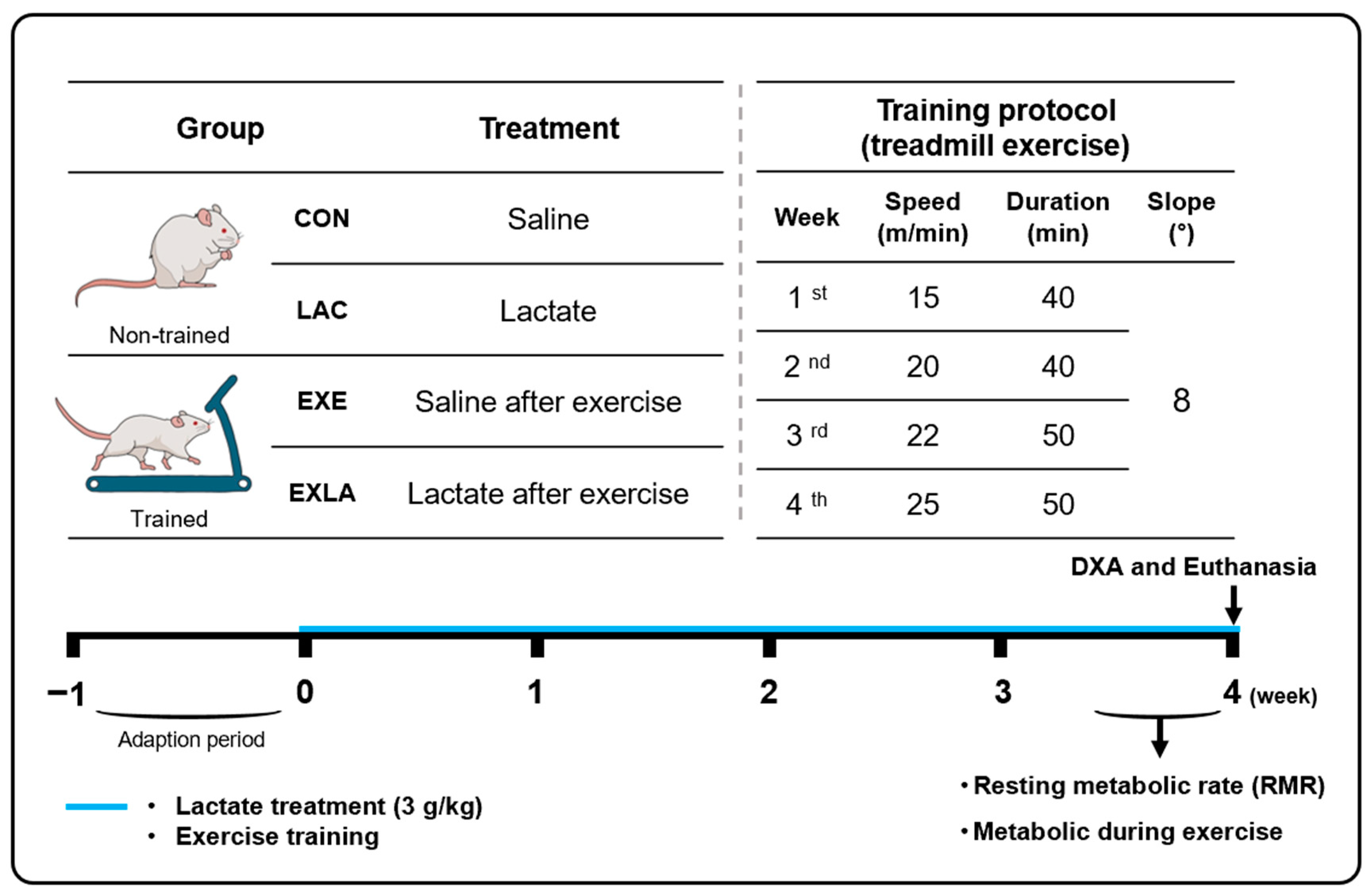 Metabolites 14 00220 g001 Metabolites 14 00220 g001