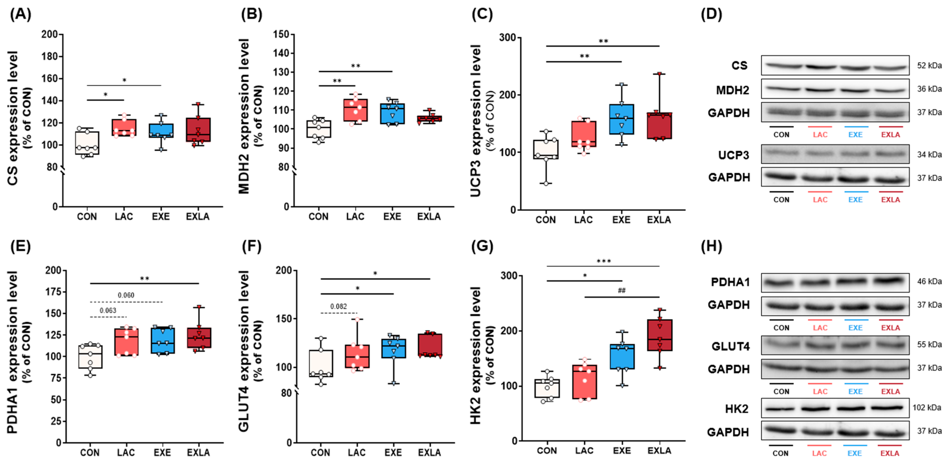 Metabolites 14 00220 g004 Metabolites 14 00220 g004